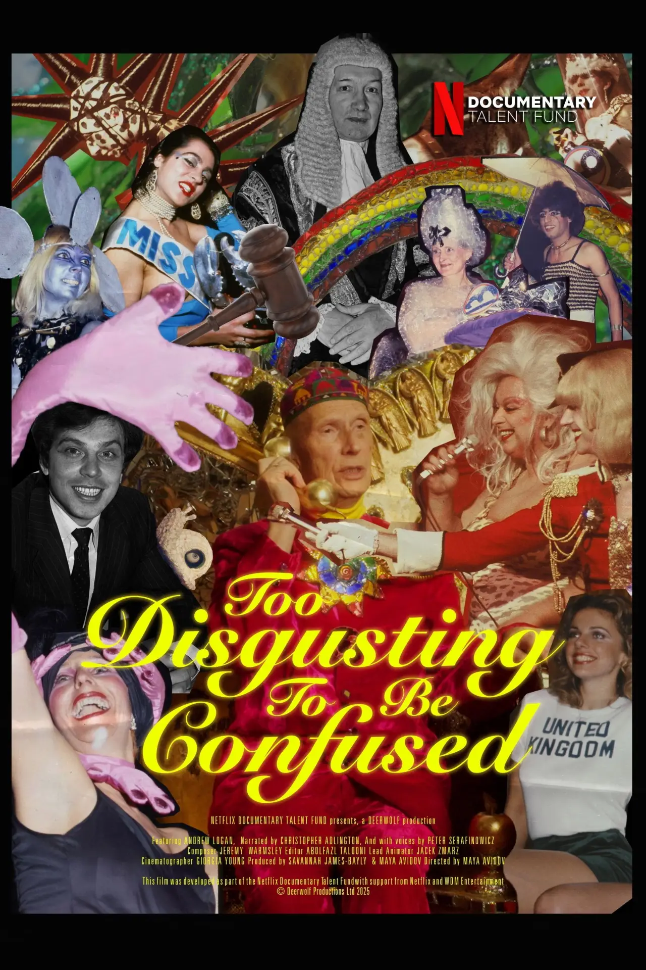 Постер до фільму "Too Disgusting To Be Confused"
