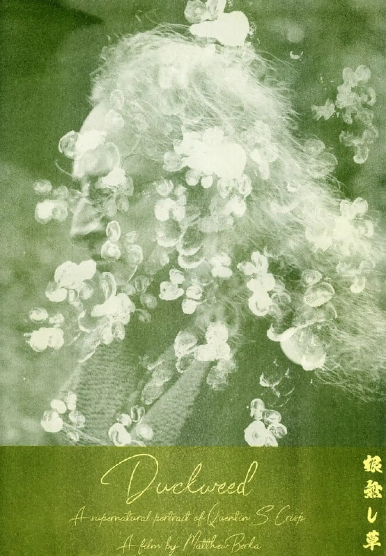 Постер до фільму "Duckweed"