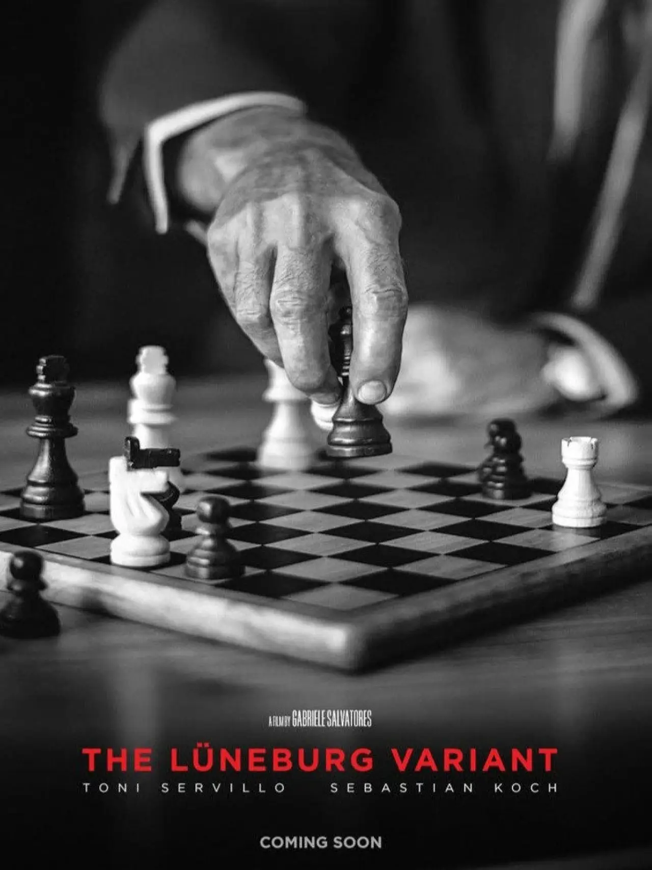 Постер до фільму "La variante di Lüneburg"