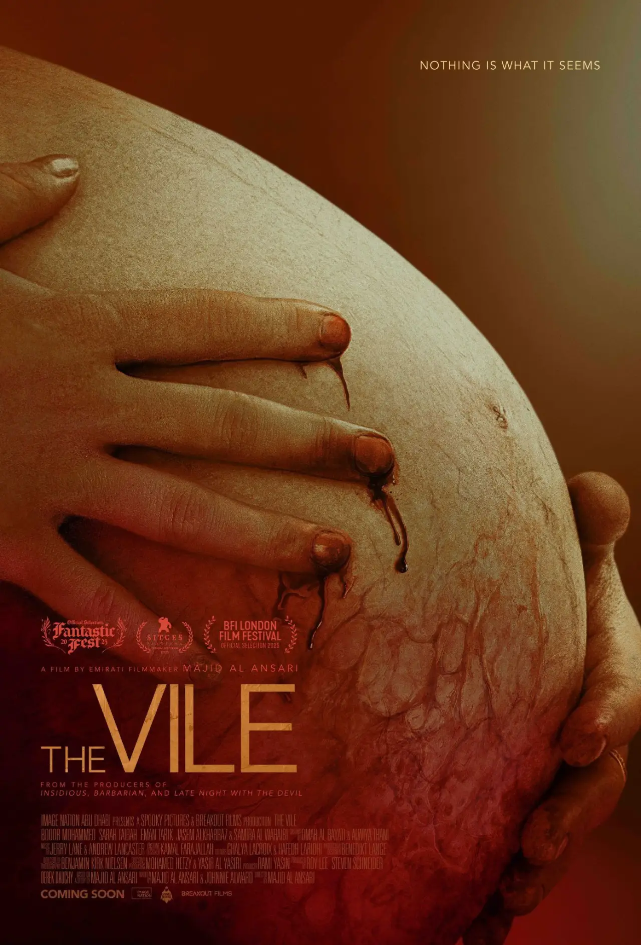 Постер до фільму "The Vile"