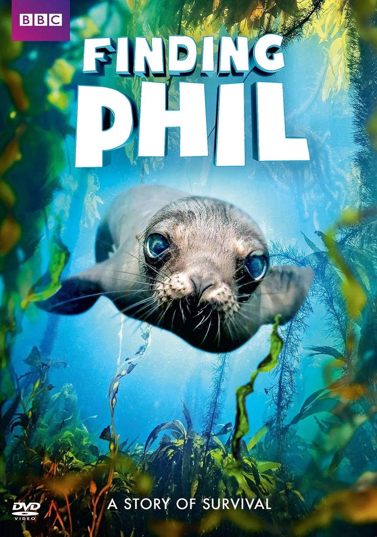 Постер до фільму "Finding Phil"