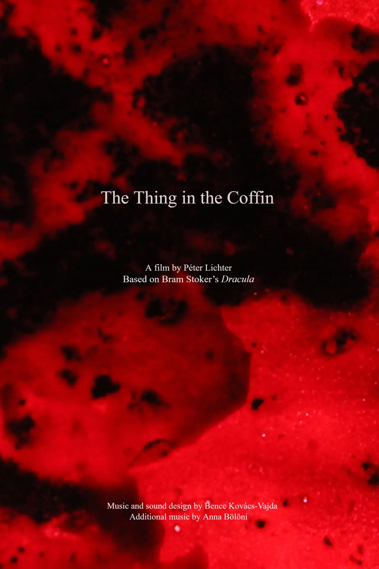 Постер до фільму "The Thing in the Coffin"