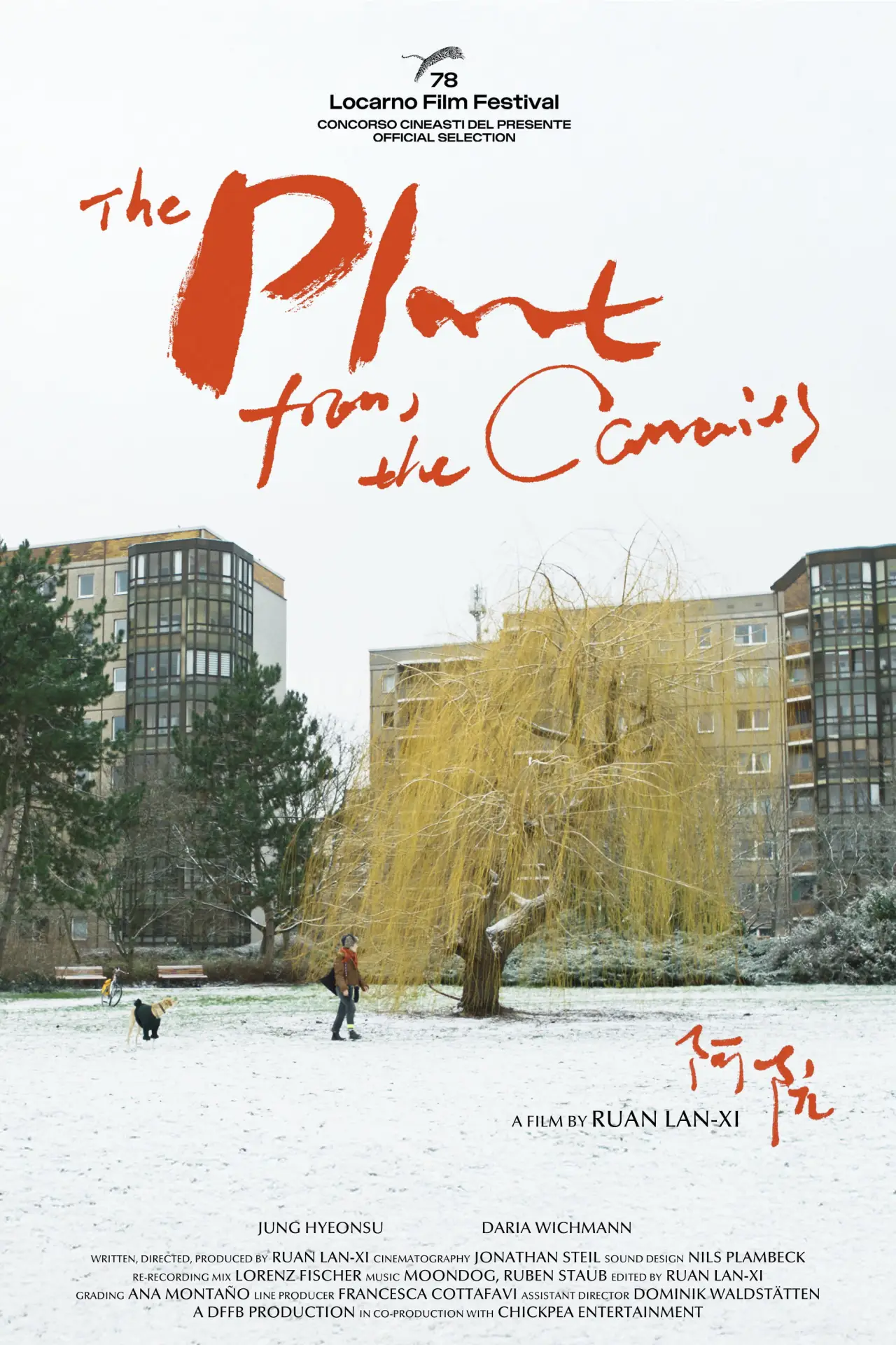 Постер до фільму "The Plant from the Canaries"