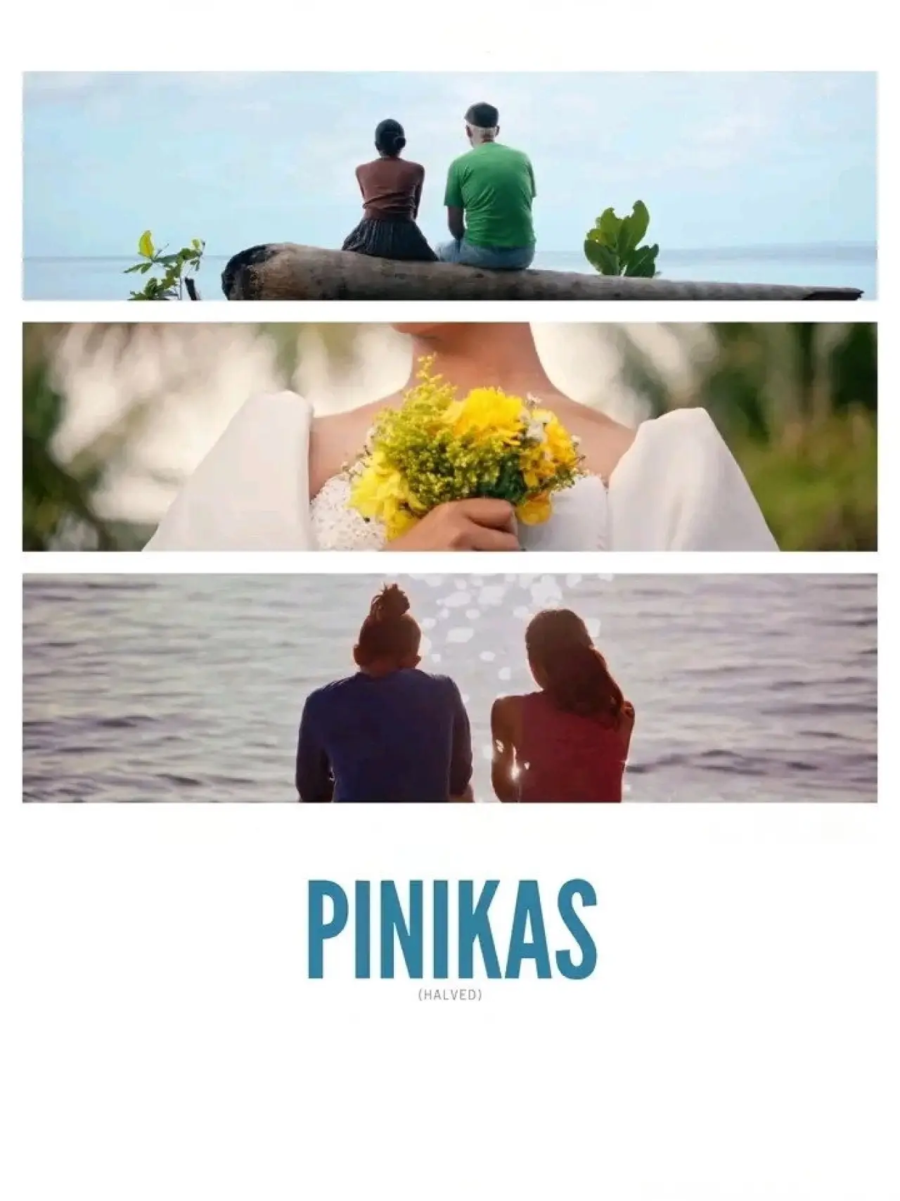 Постер до фільму "Pinikas"