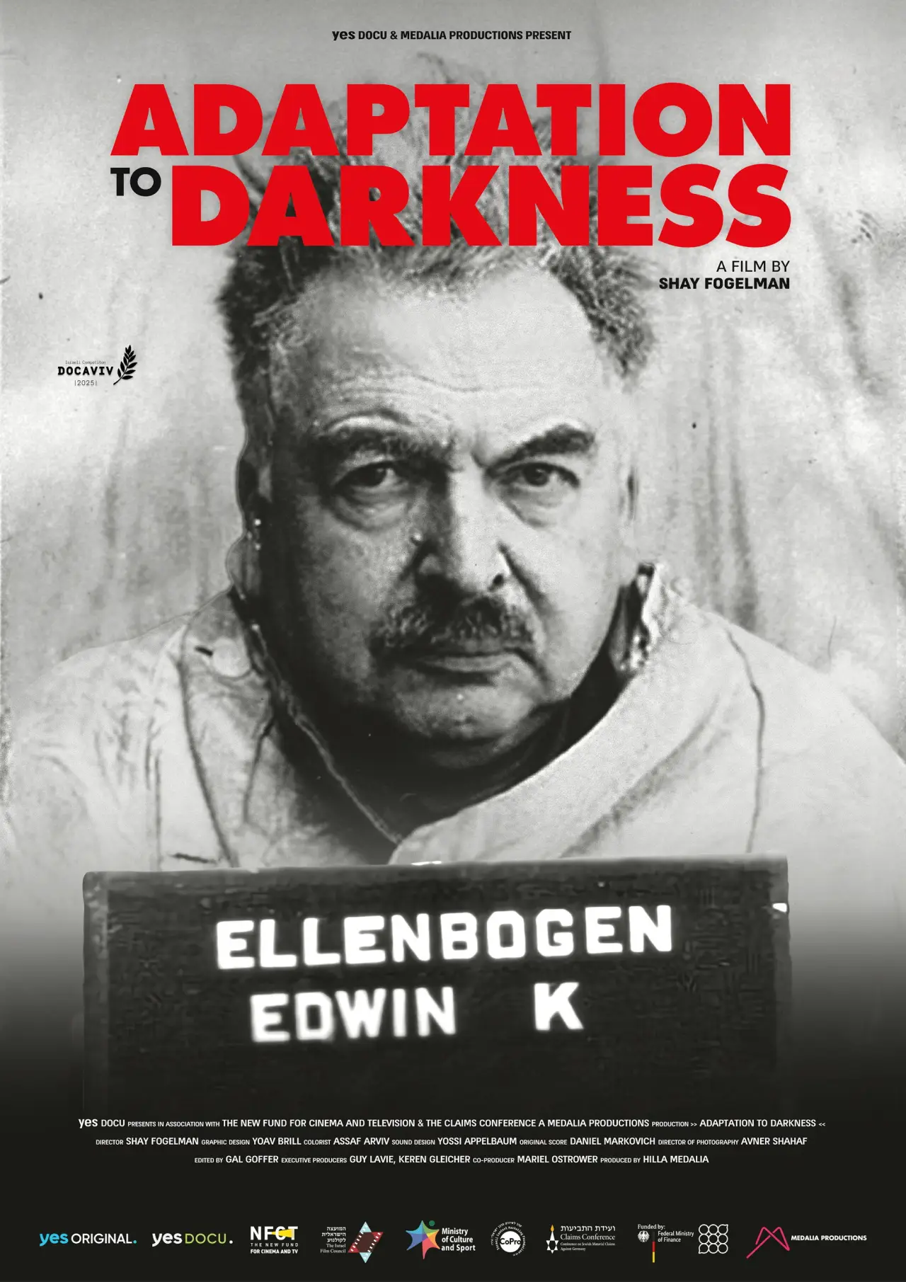 Постер до фільму "Adaptation to Darkness"