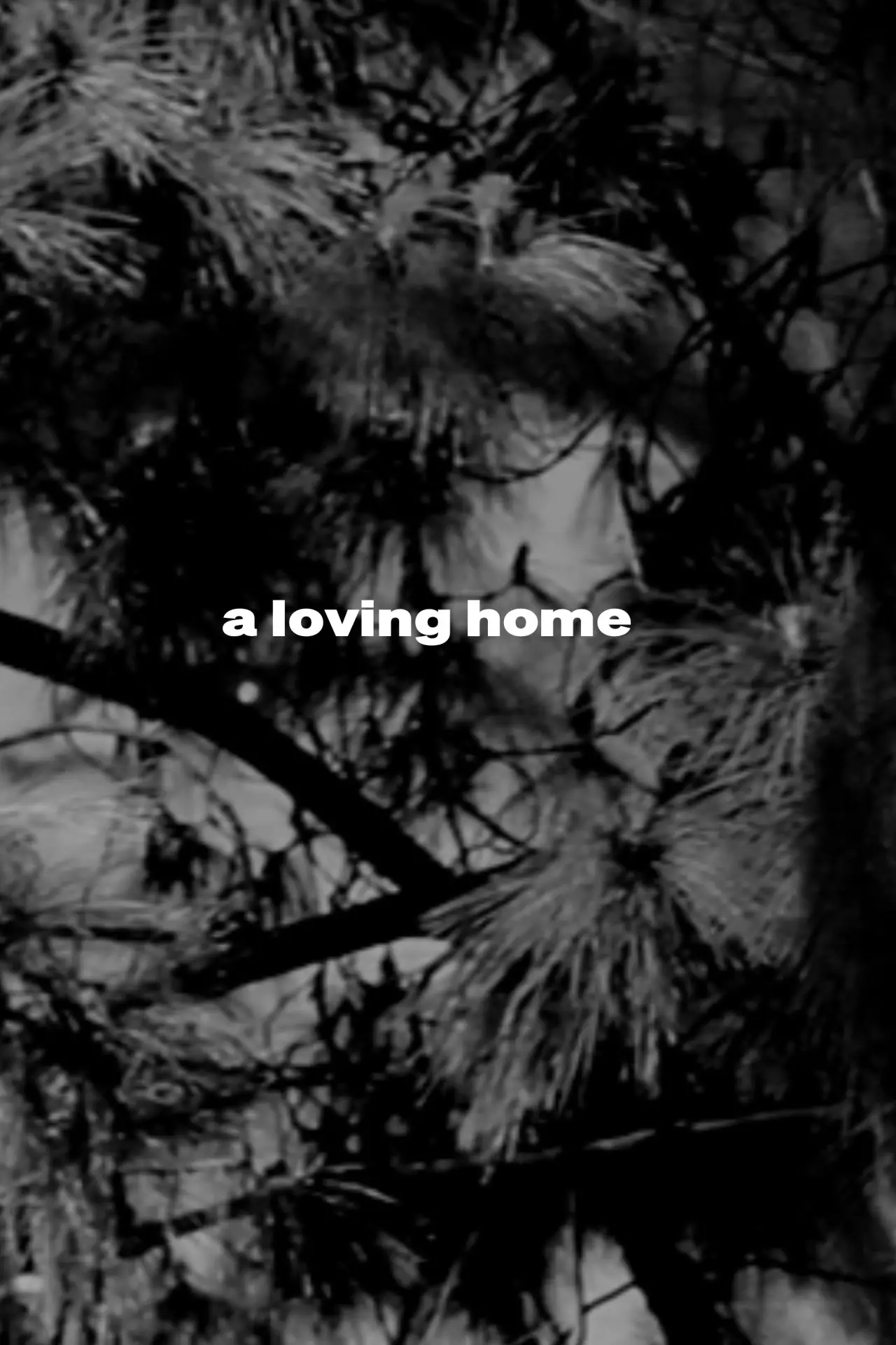 Постер до фільму "a loving home"