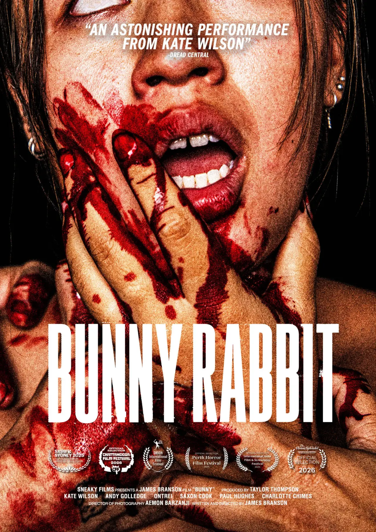 Постер до фільму "Bunny Rabbit"