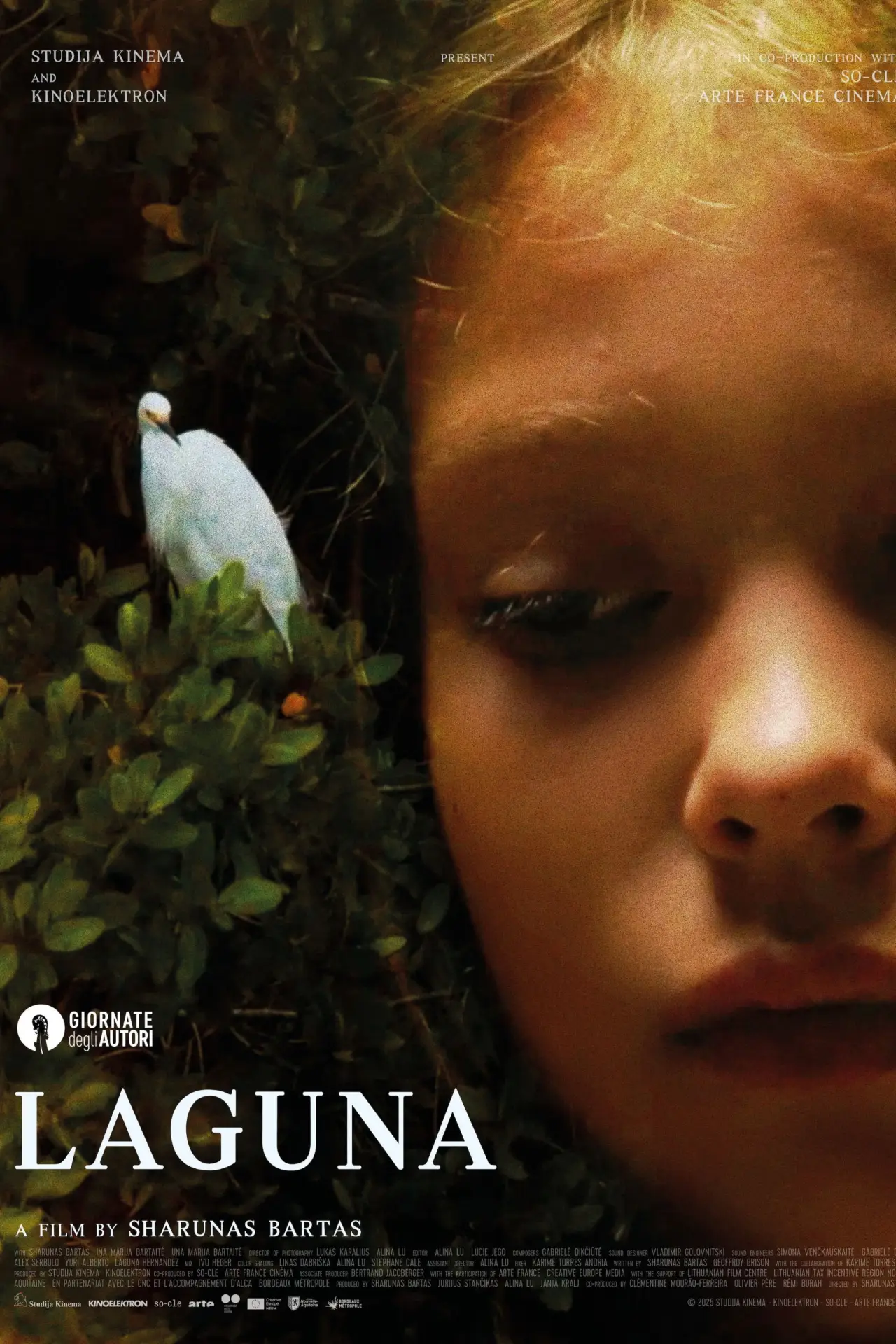 Постер до фільму "Laguna"