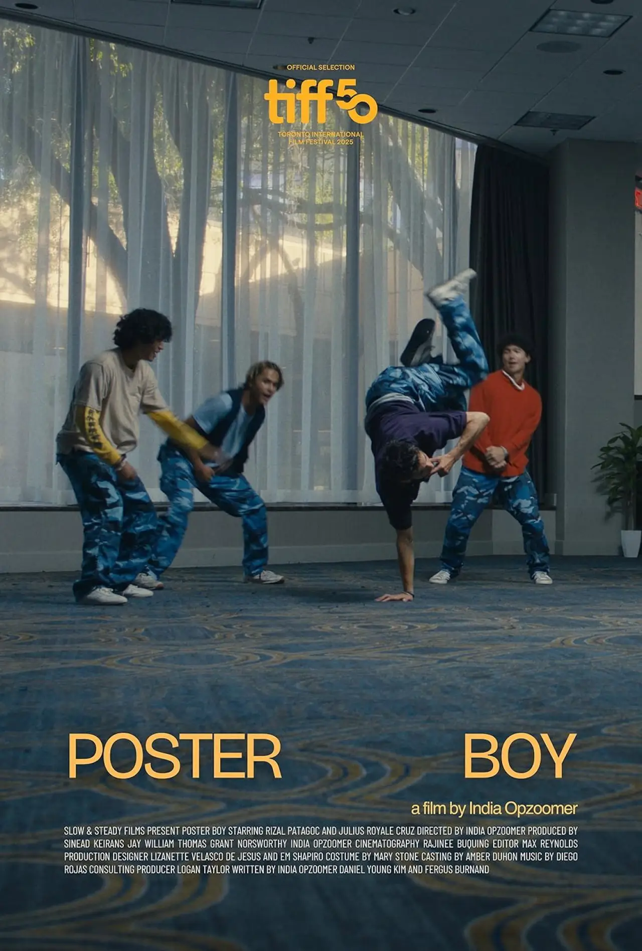 Постер до фільму "Poster Boy"