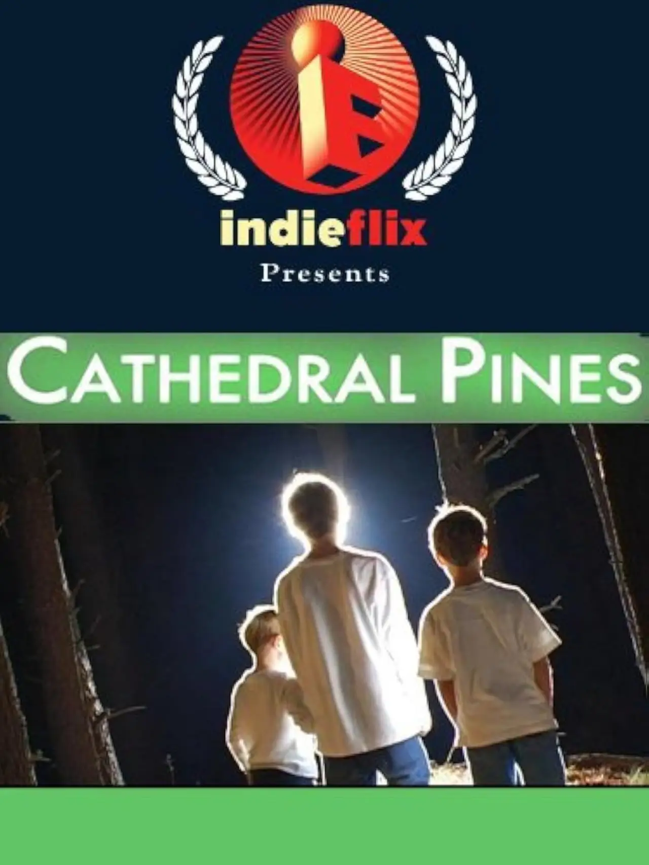 Постер до фільму "Cathedral Pines"