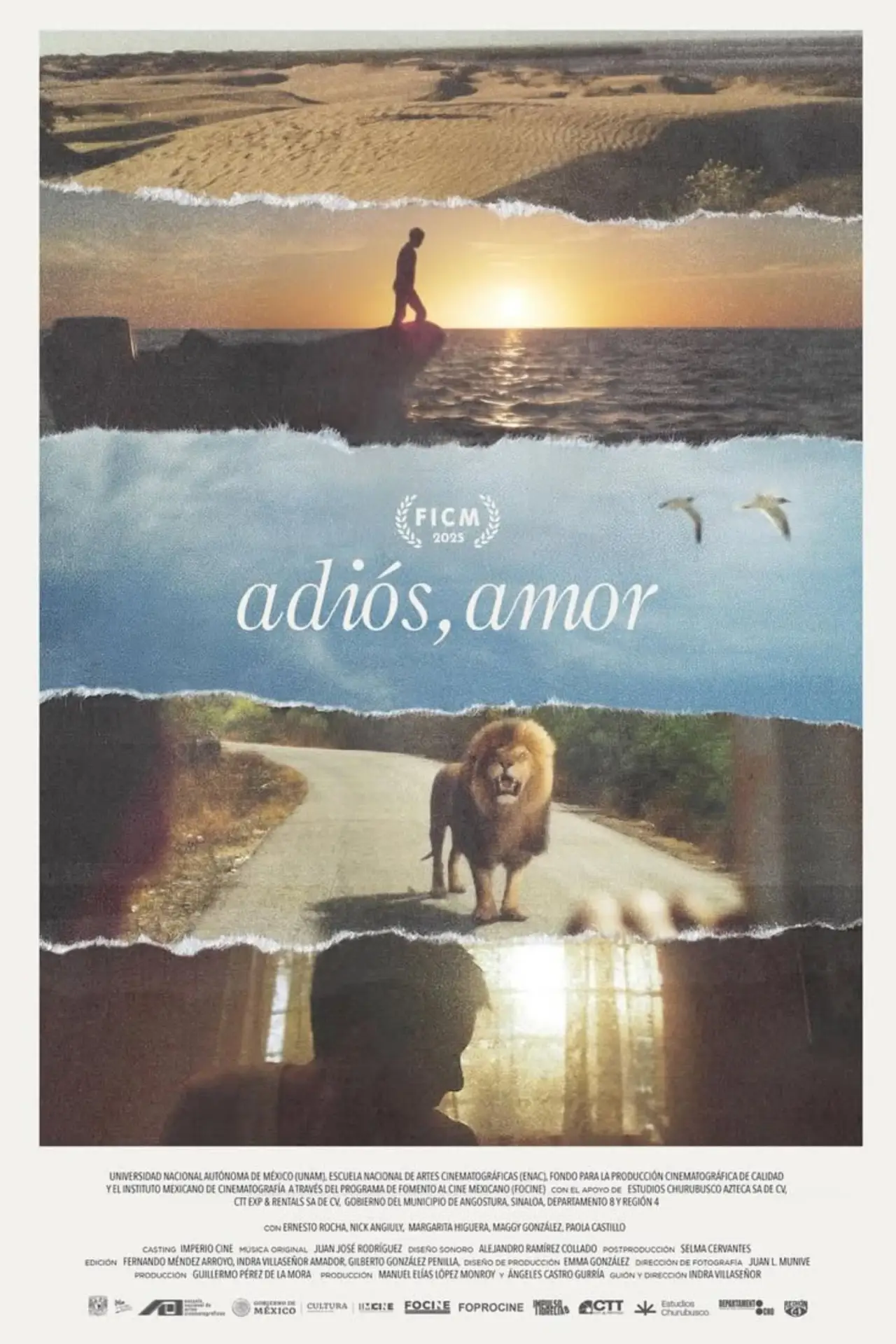 Постер до фільму "Adiós, amor"