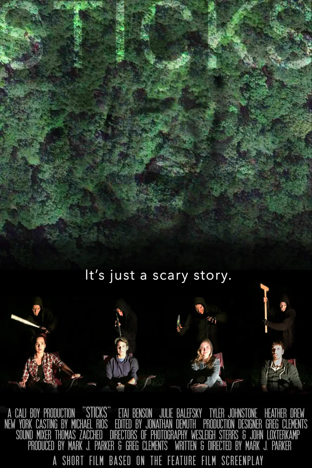 Постер до фільму "Sticks"