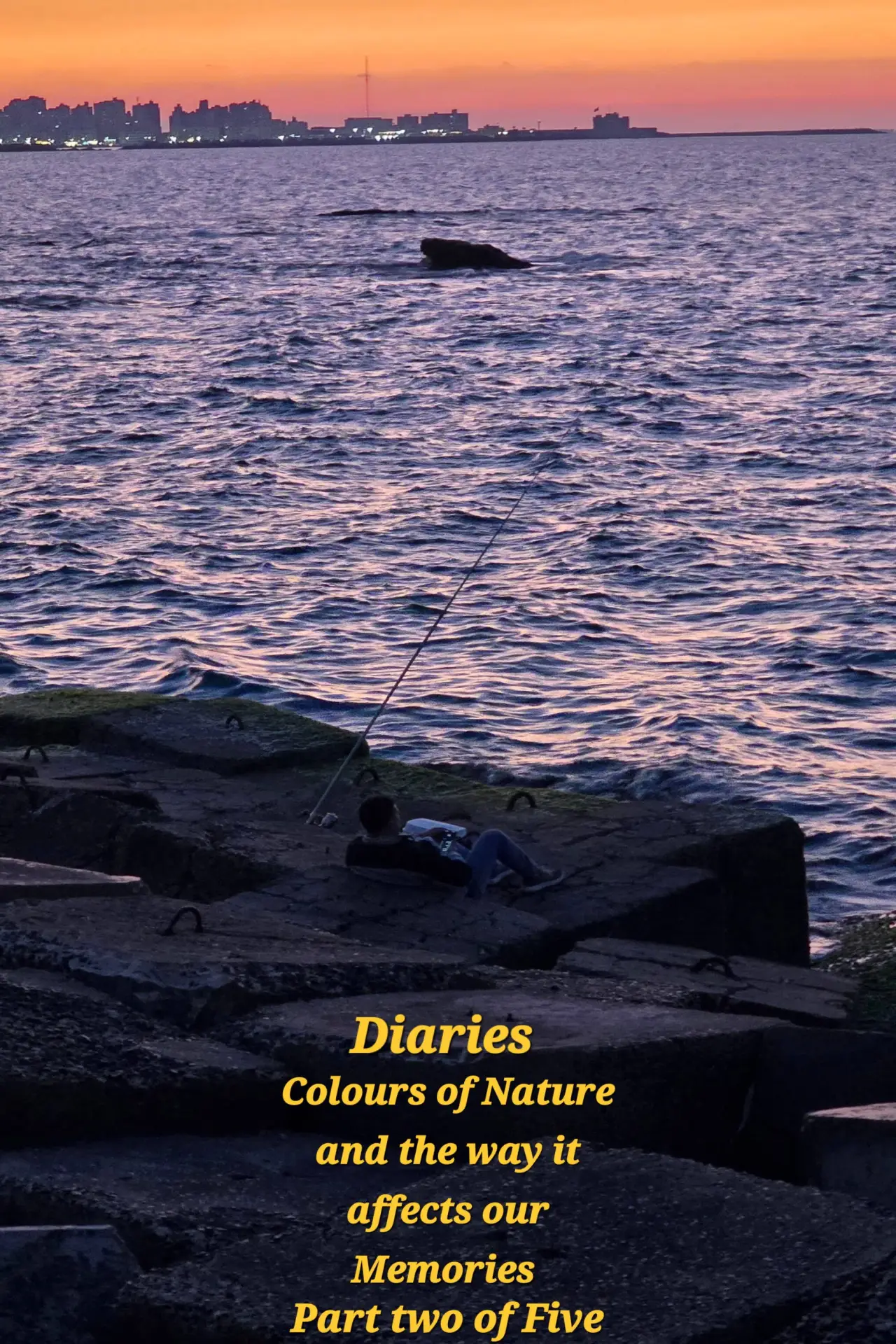 Постер до фільму "Diaries: Colours of Nature and the Way It Affects Our Memories."