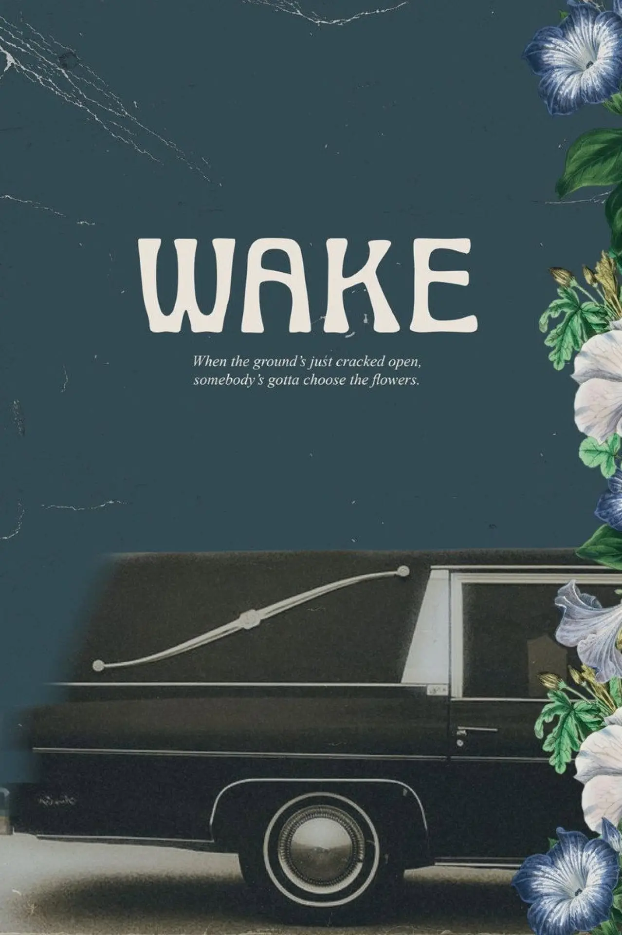 Постер до фільму "Wake"