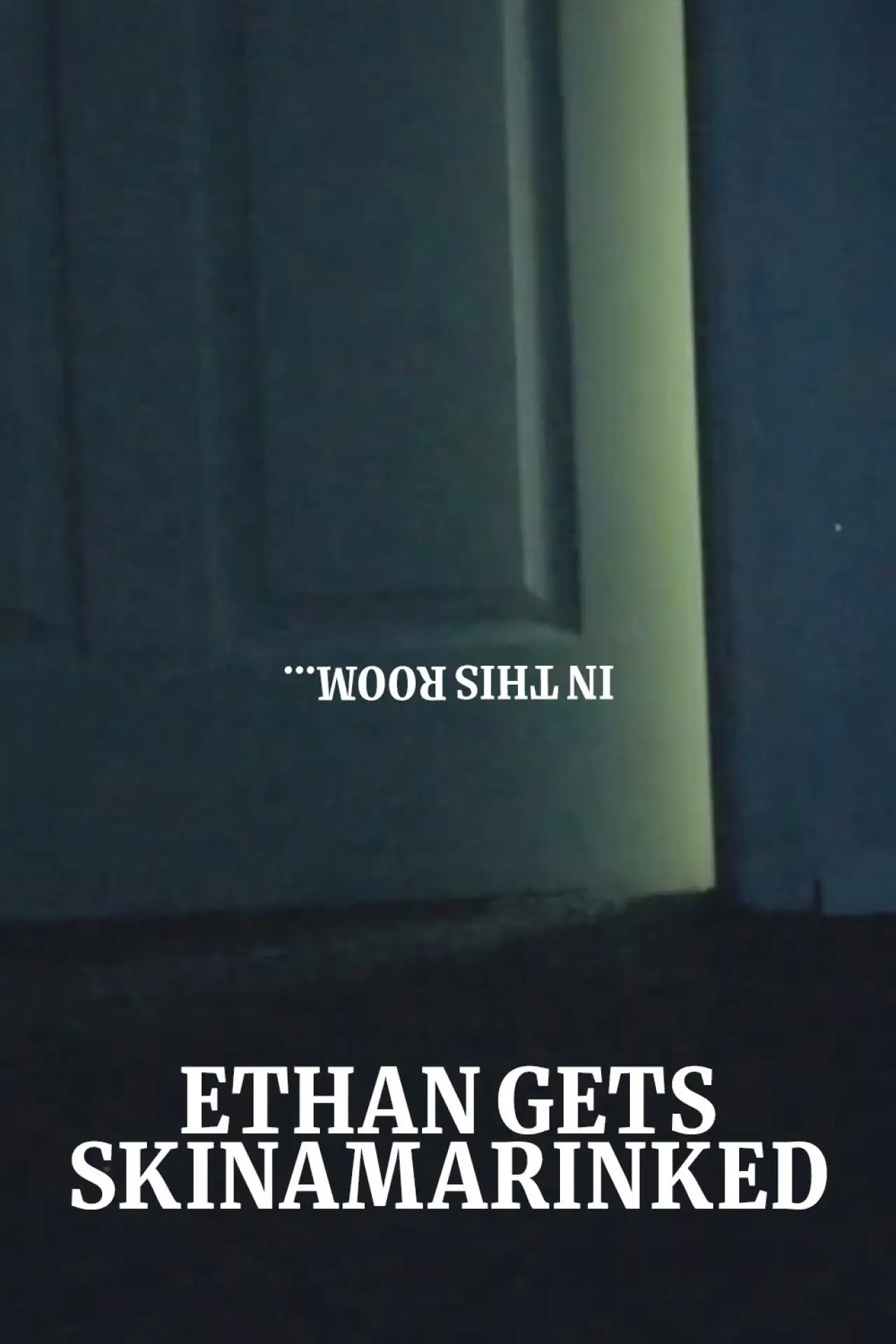 Постер до фільму "Ethan Gets Skinamarinked"