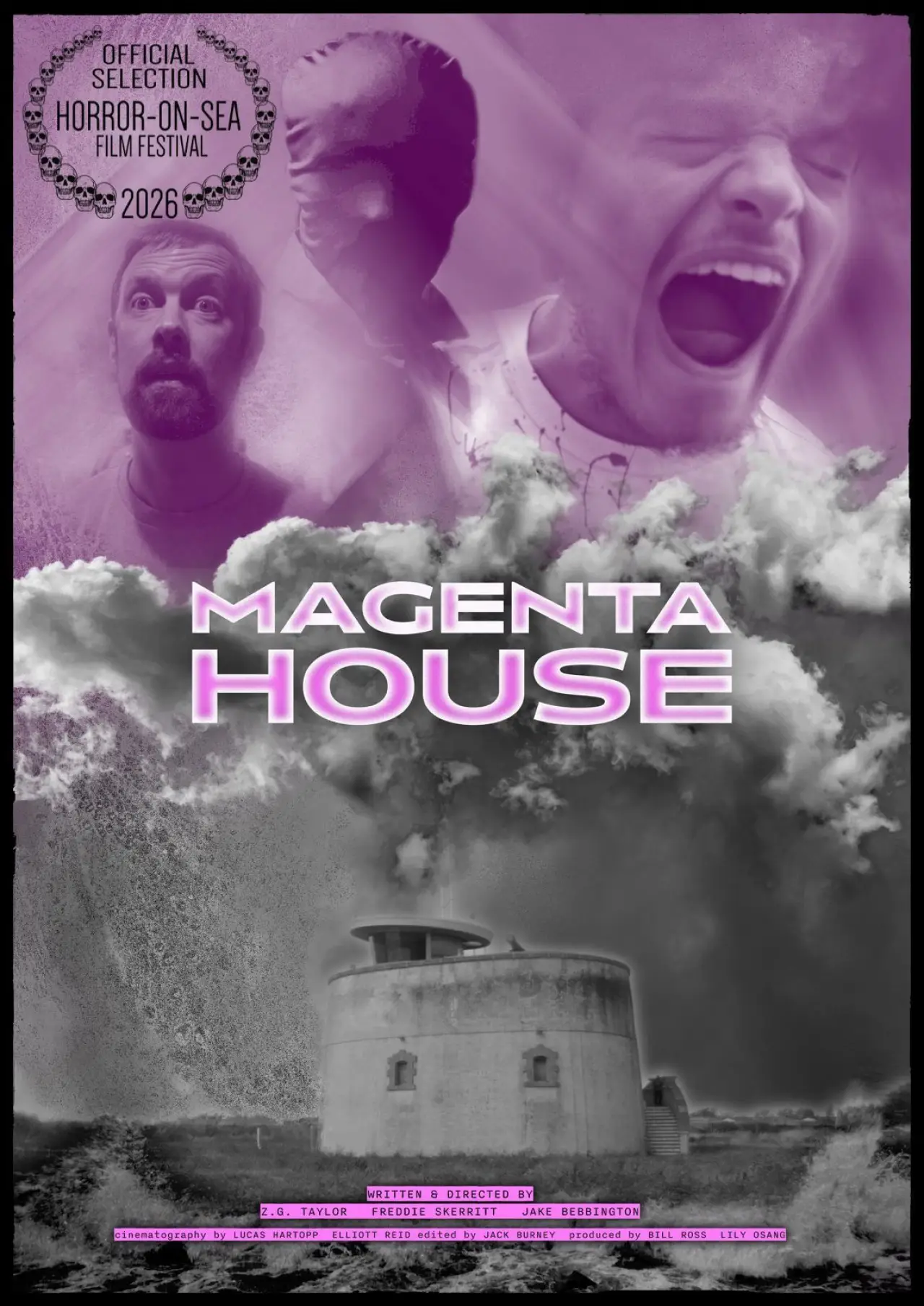 Постер до фільму "Magenta House"