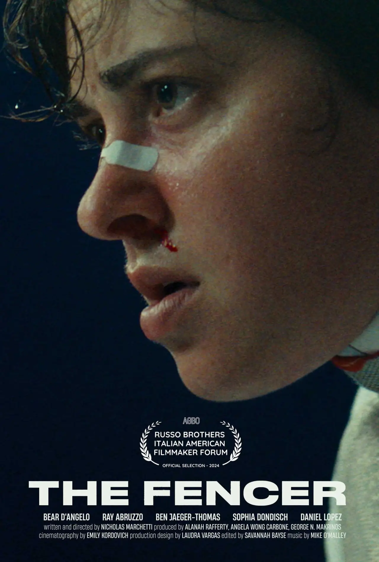 Постер до фільму "The Fencer"