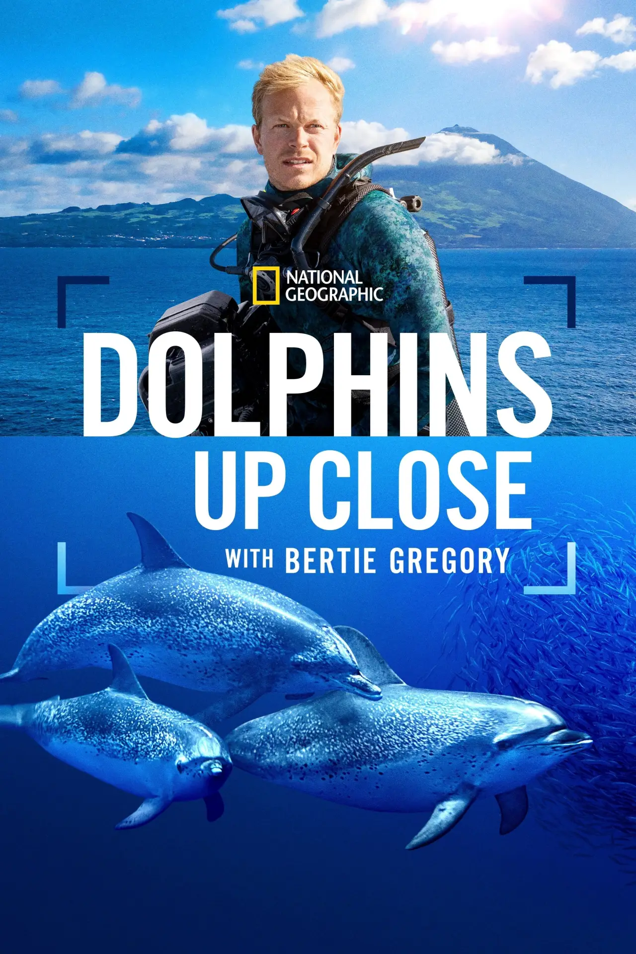 Постер до фільму "Dolphins Up Close with Bertie Gregory"