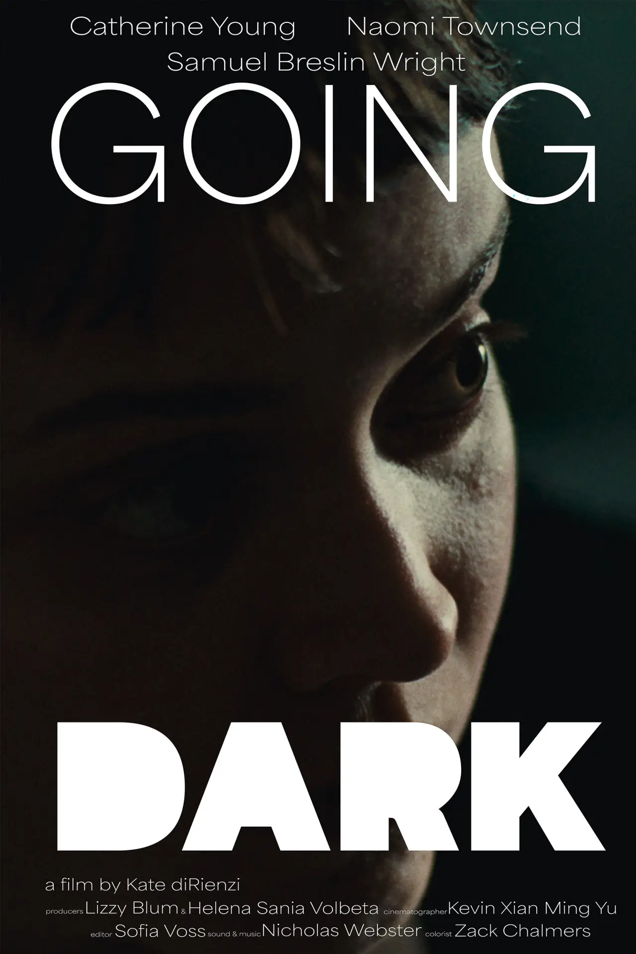 Постер до фільму "Going Dark"