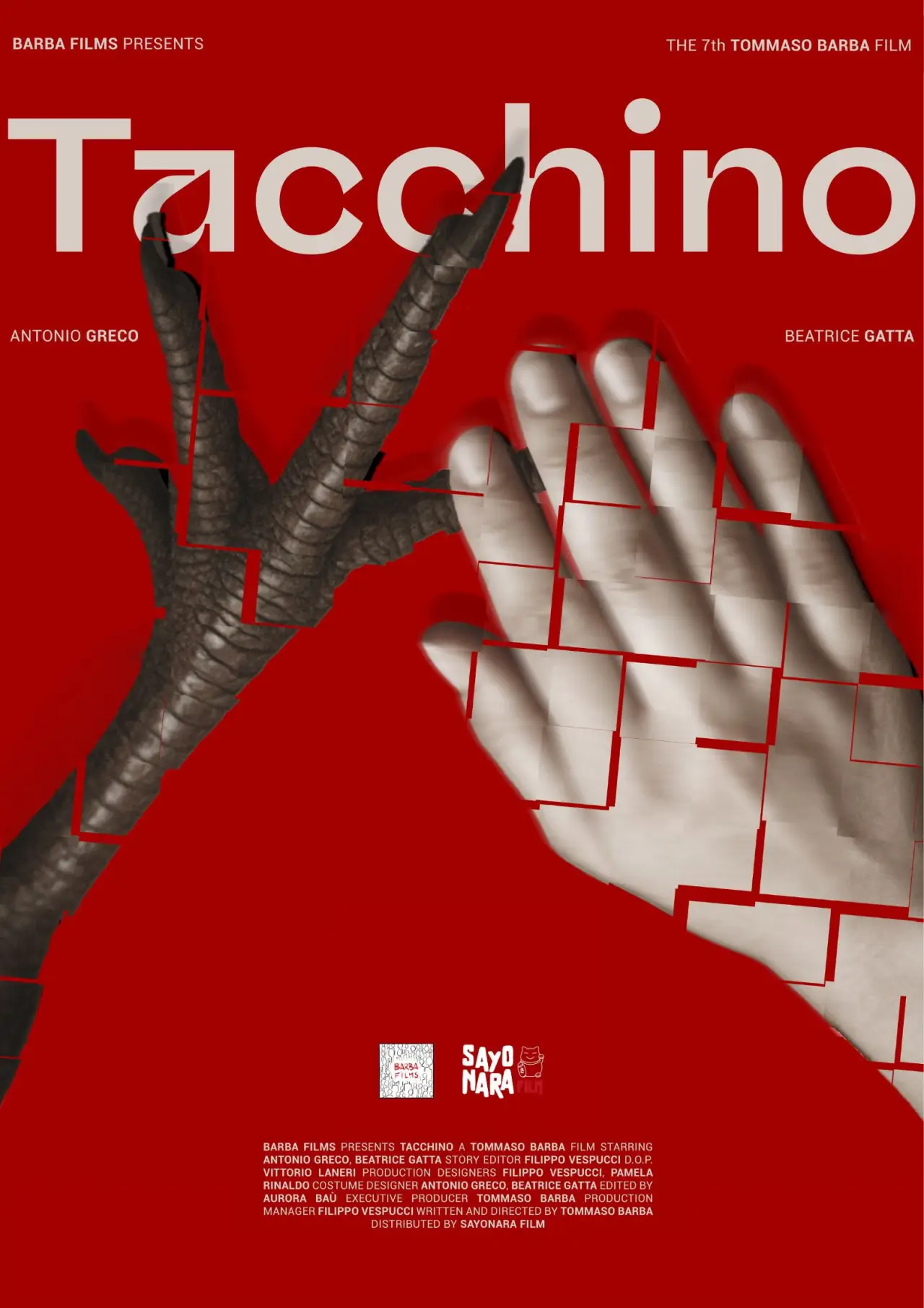 Постер до фільму "Tacchino"
