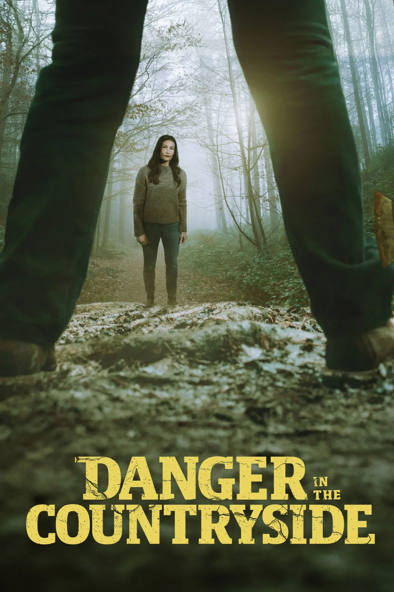 Постер до фільму "Danger in the Countryside"