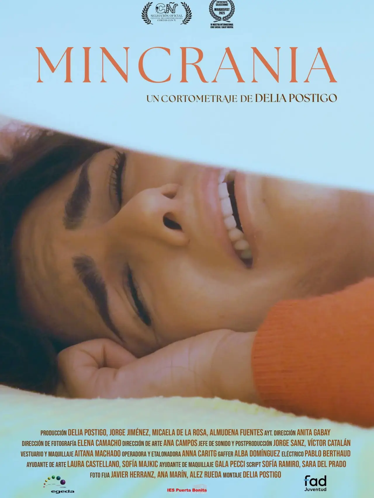 Постер до фільму "Mincrania"