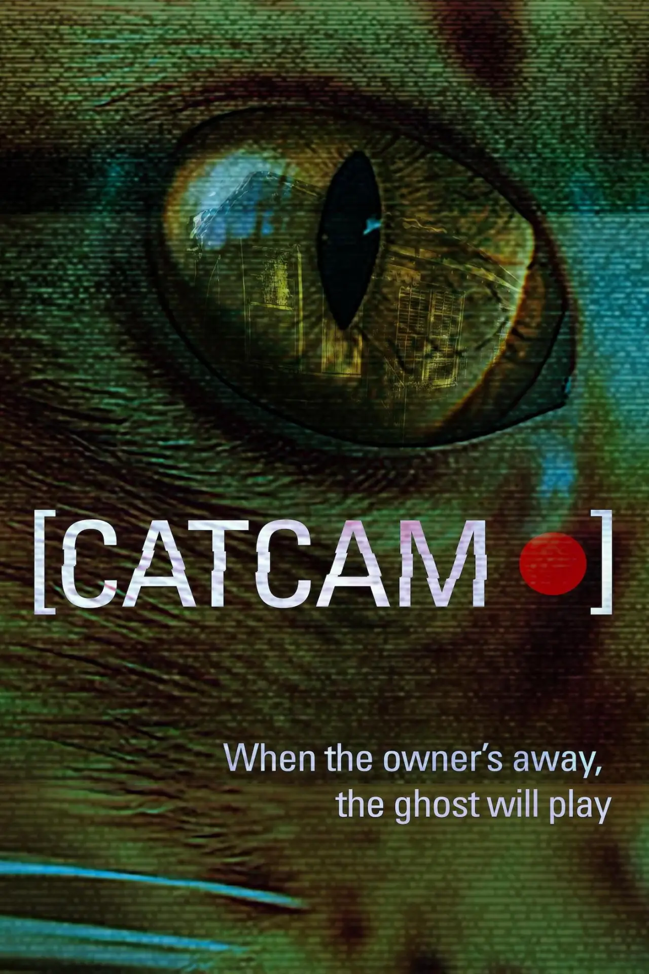 Постер до фільму "Cat Cam"