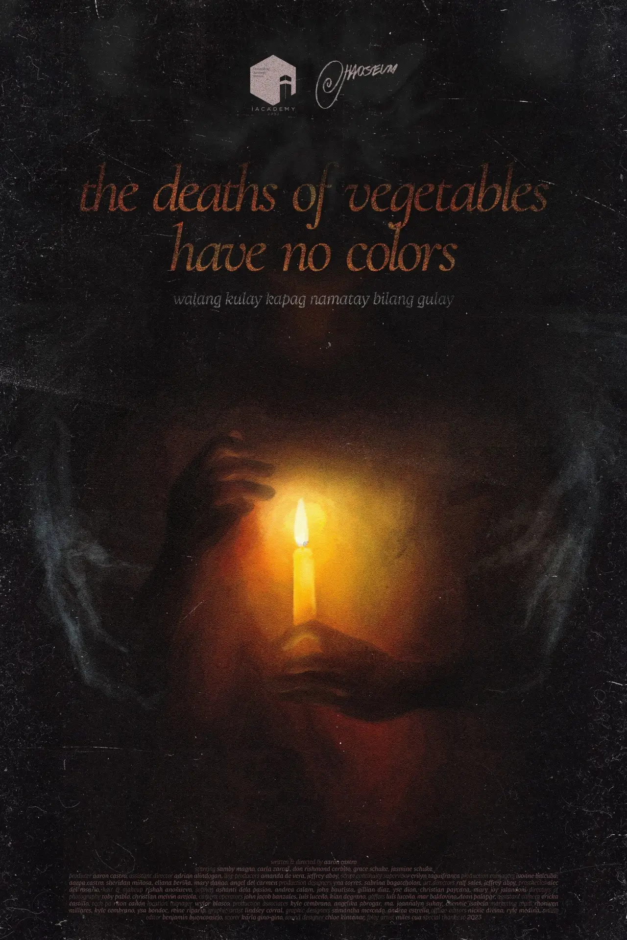 Постер до фільму "the deaths of vegetables have no colors"