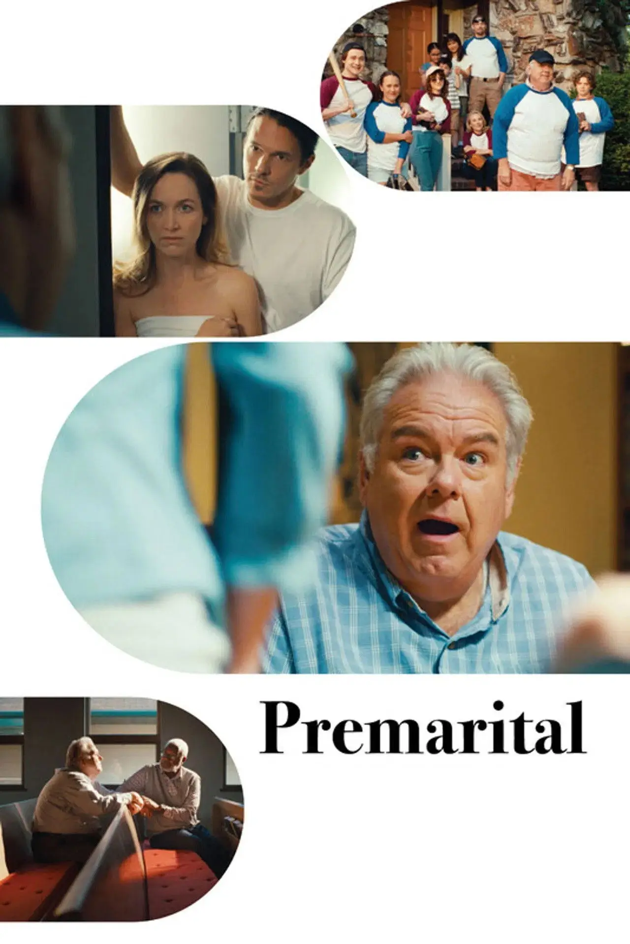 Постер до фільму "Premarital"