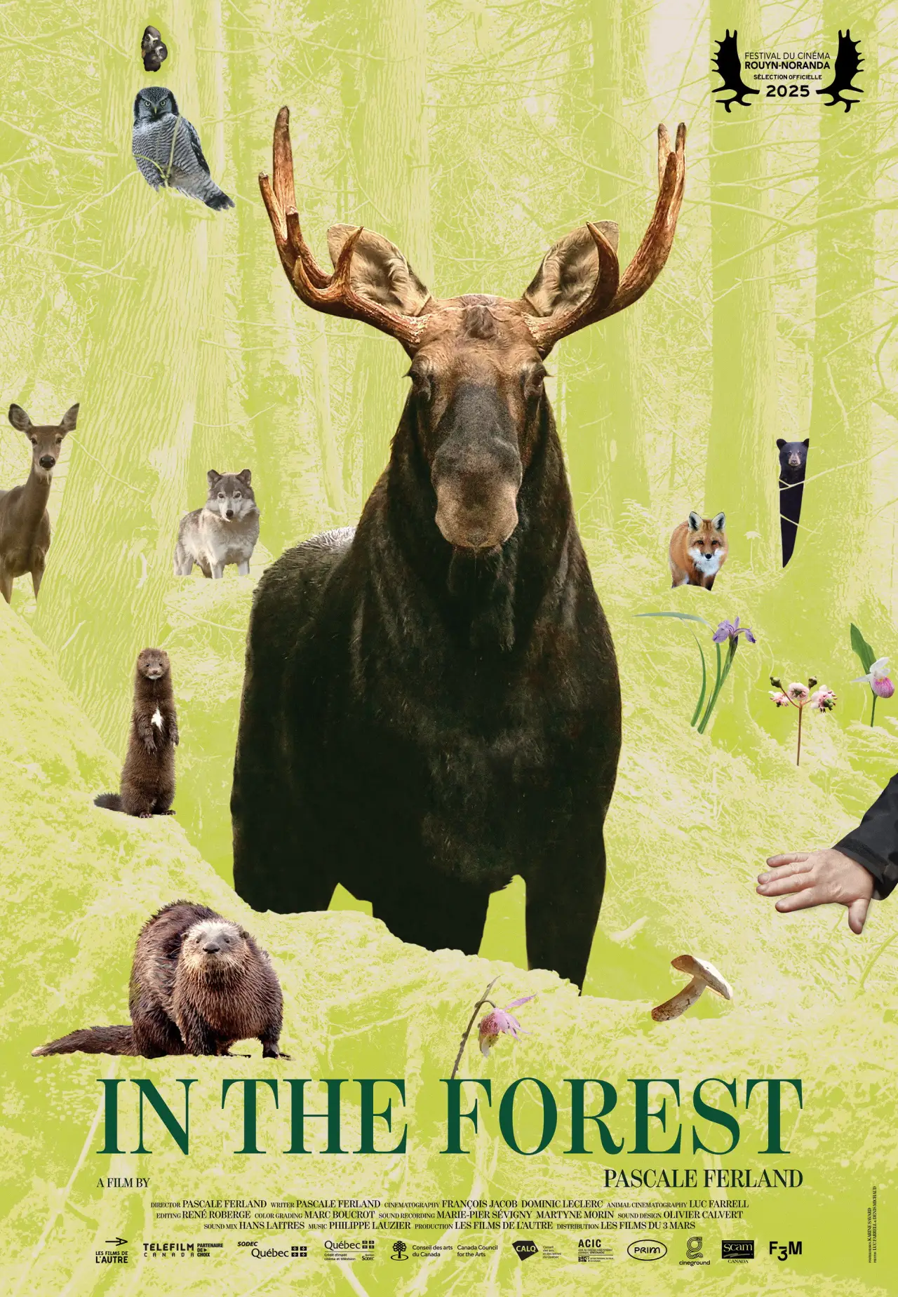 Постер до фільму "Dans la forêt"