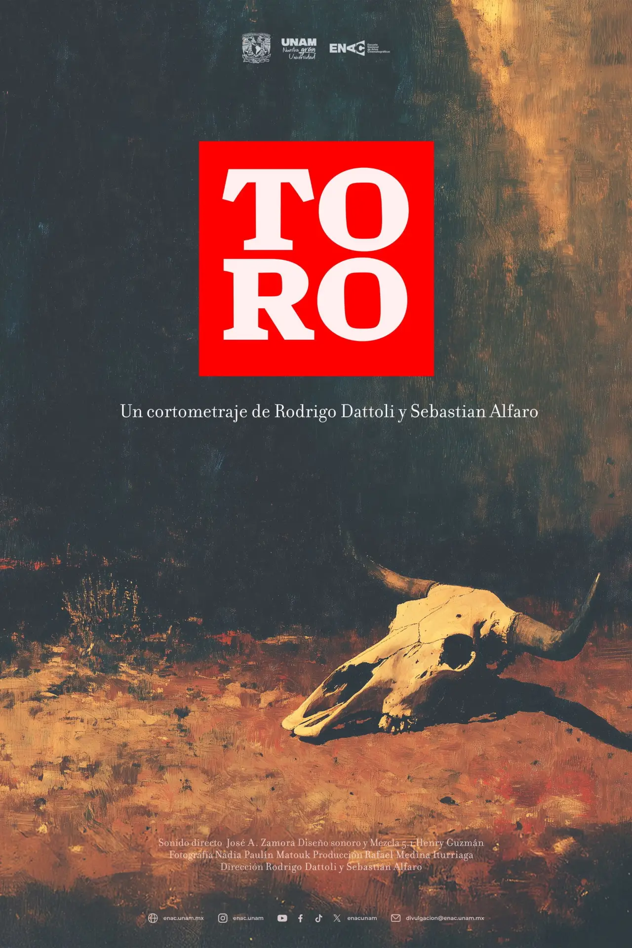Постер до фільму "Toro"