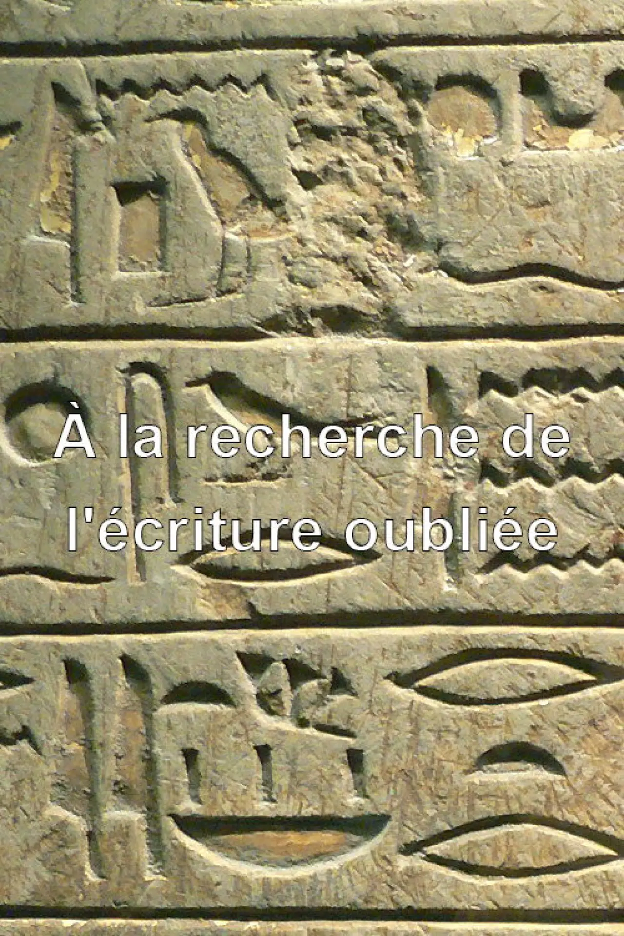 Постер до фільму "À la recherche de l