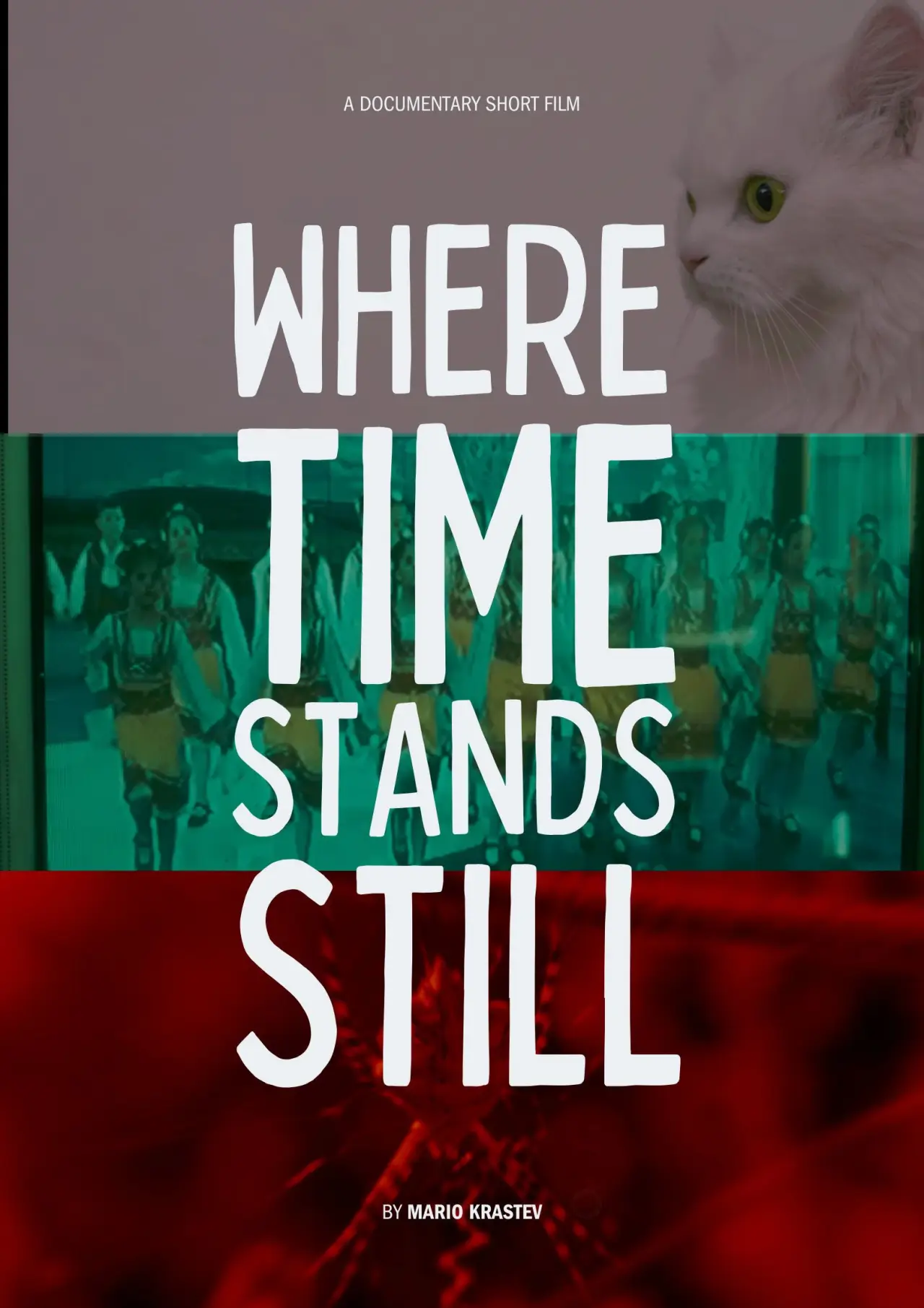 Постер до фільму "Where Time Stands Still"