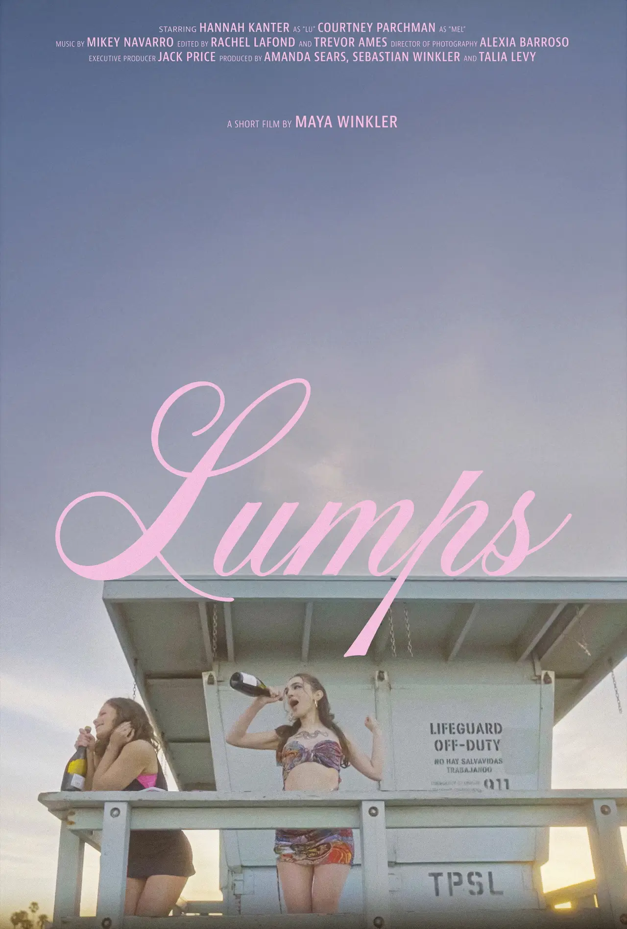 Постер до фільму "Lumps"
