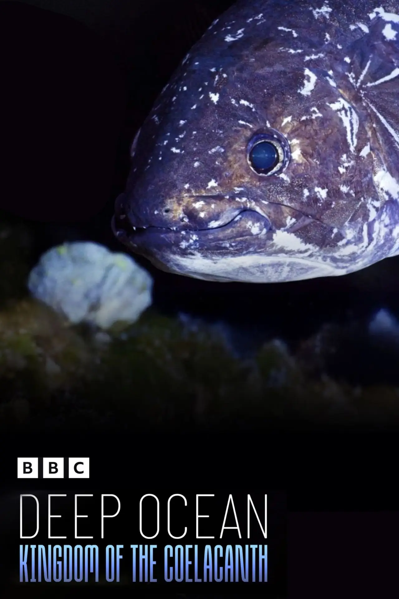 Постер до фільму "Deep Ocean: Kingdom of the Coelacanth"