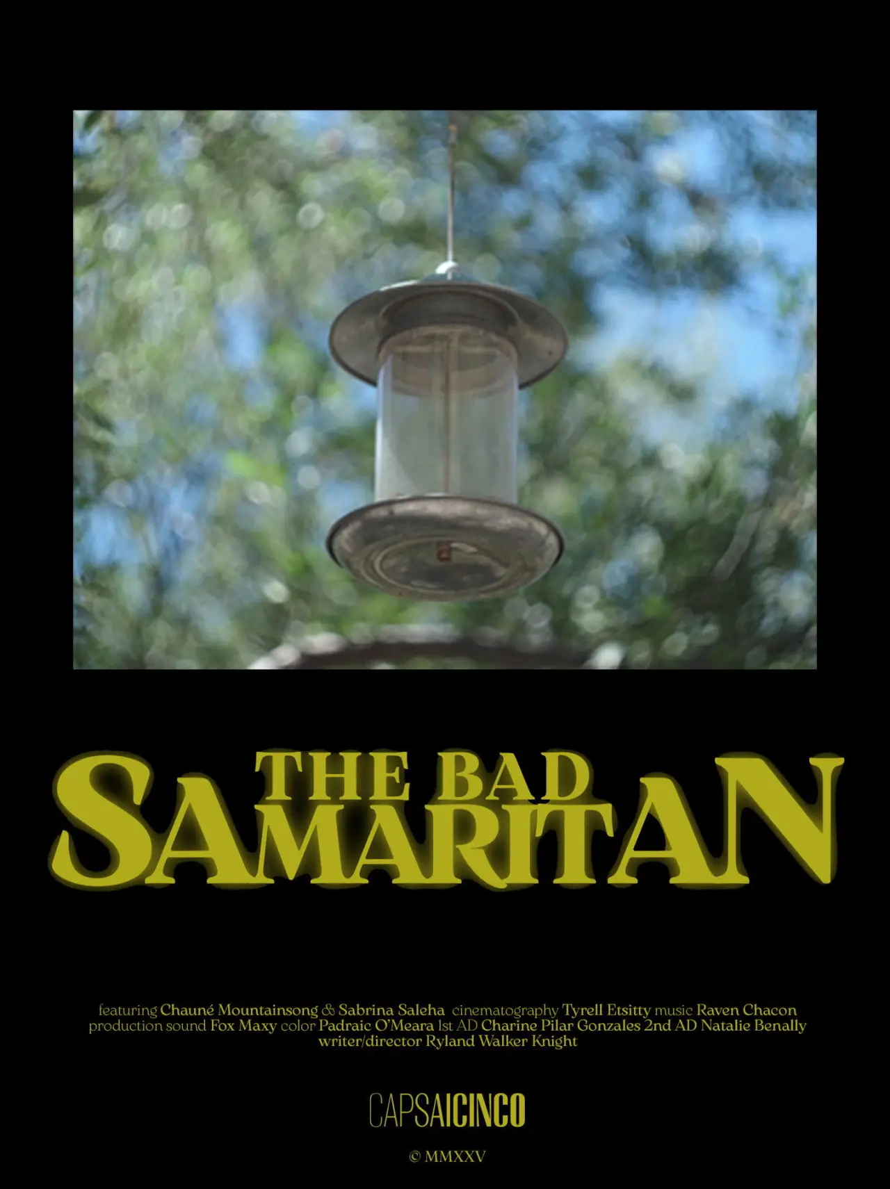 Постер до фільму "The Bad Samaritan"