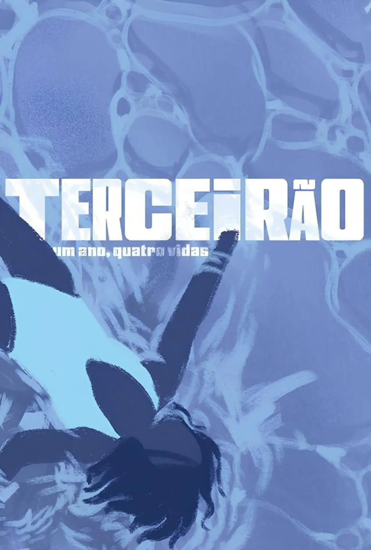 Постер до фільму "Terceirão - Um Ano, Quatro Vidas"