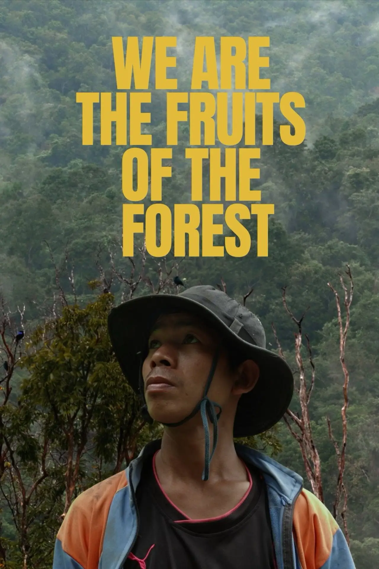 Постер до фільму "Nous Sommes les Fruits de la Forêt"