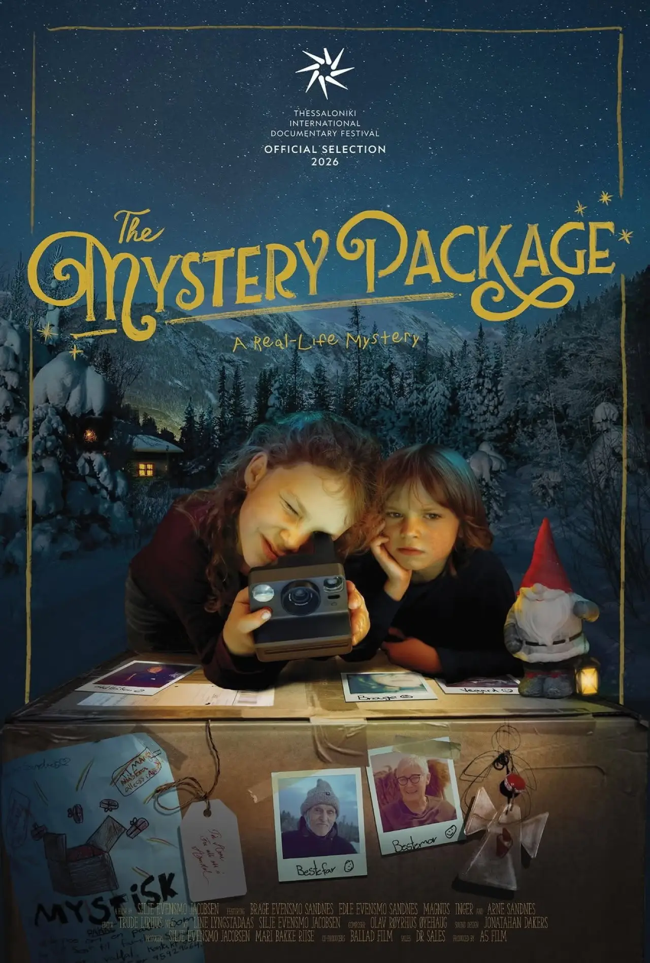 Постер до фільму "The Mystery Package"