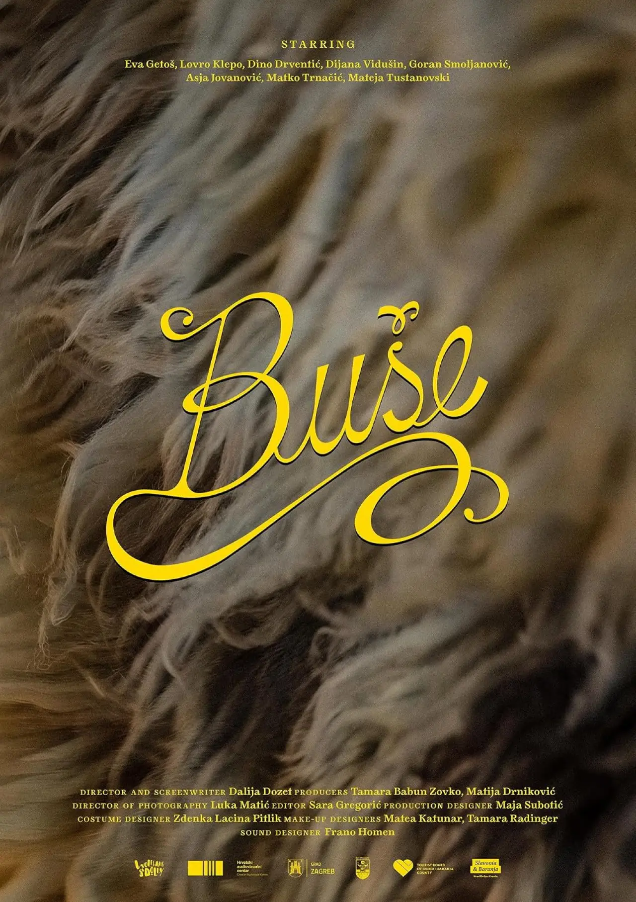 Постер до фільму "Buše"