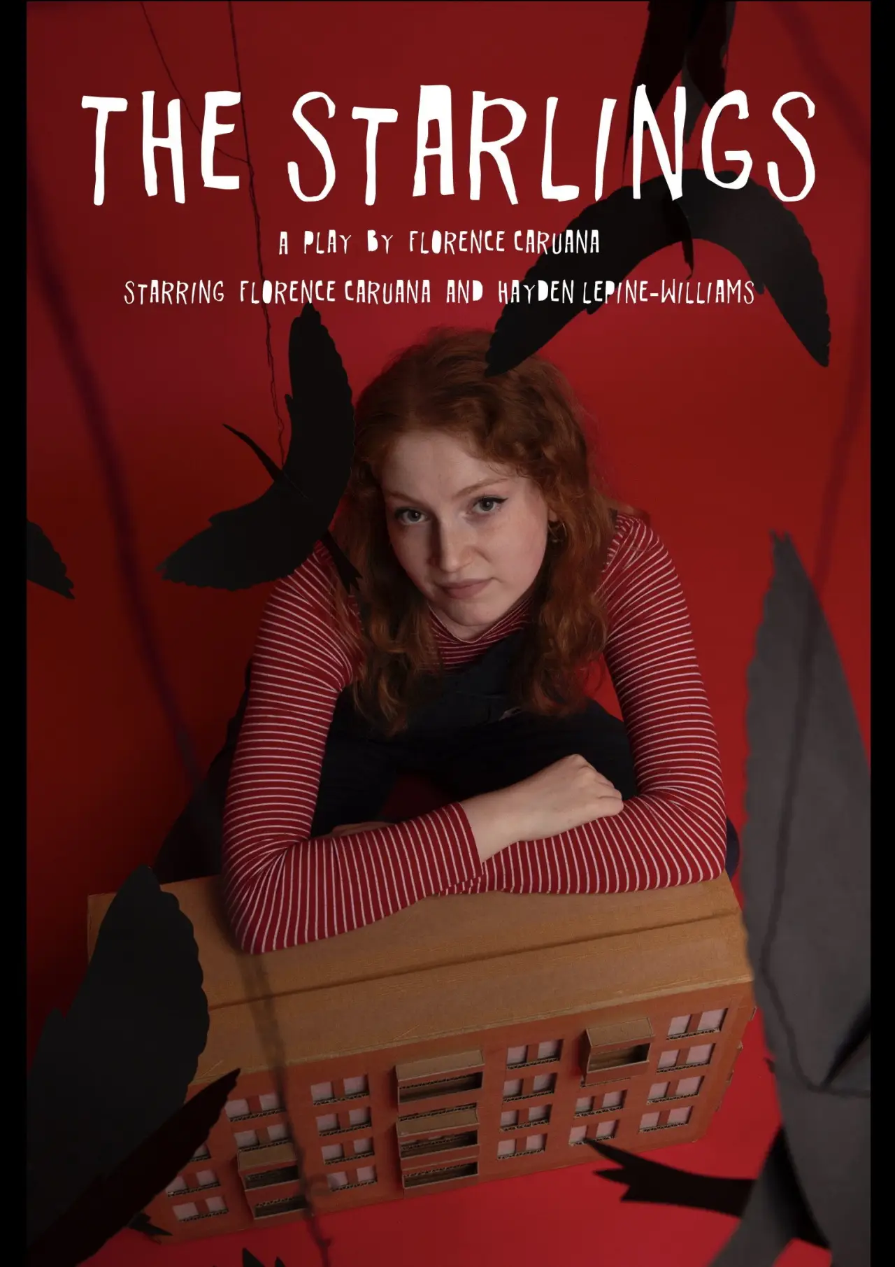 Постер до фільму "The Starlings"