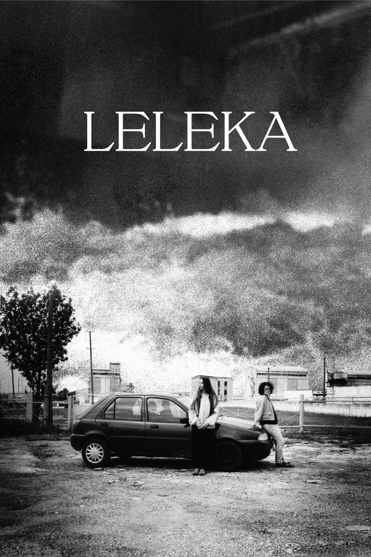 Постер до фільму "Leleka"