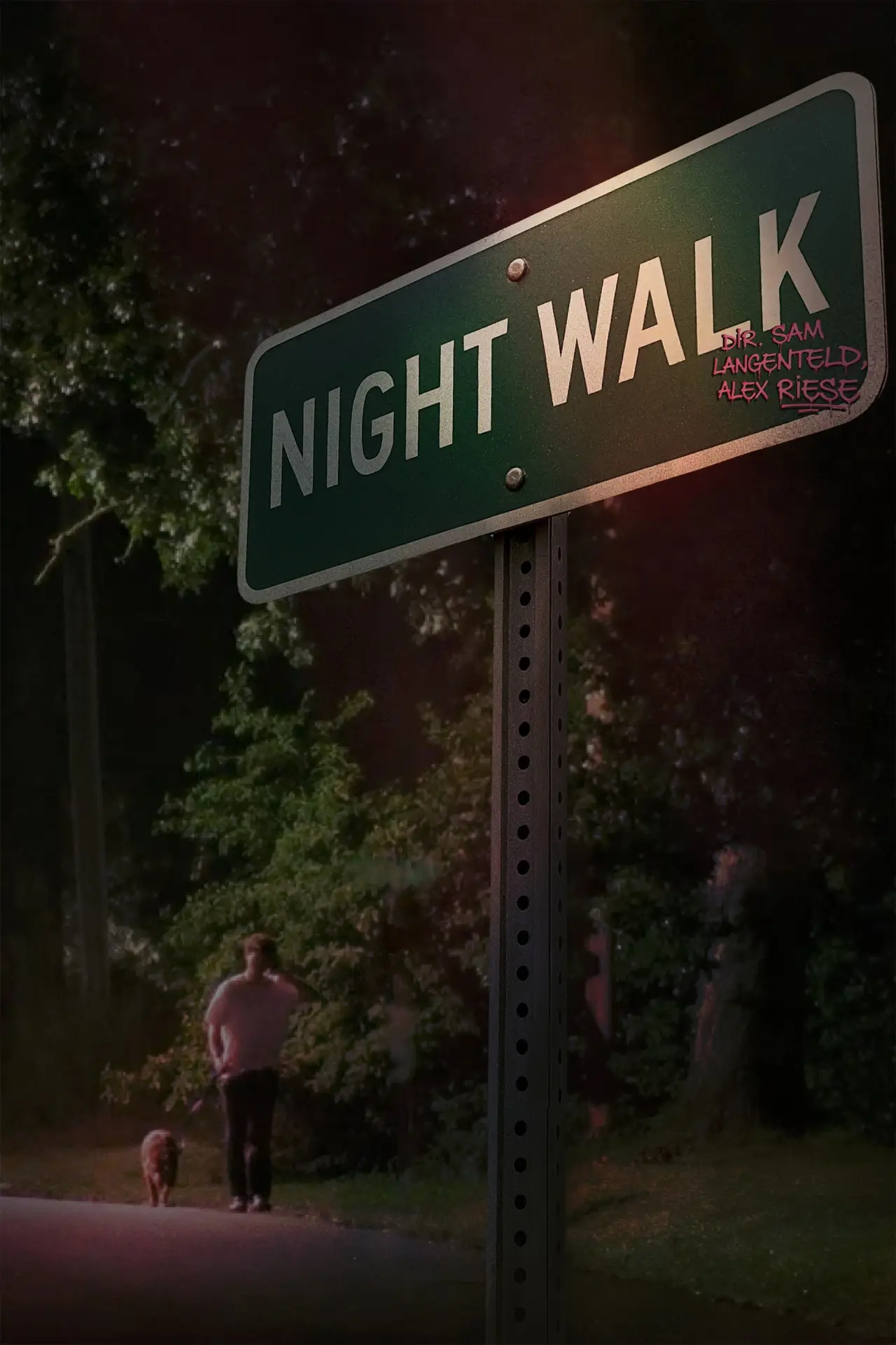 Постер до фільму "Night Walk"
