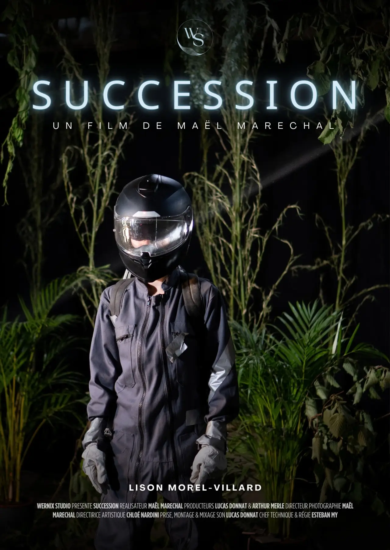 Постер до фільму "Succession"