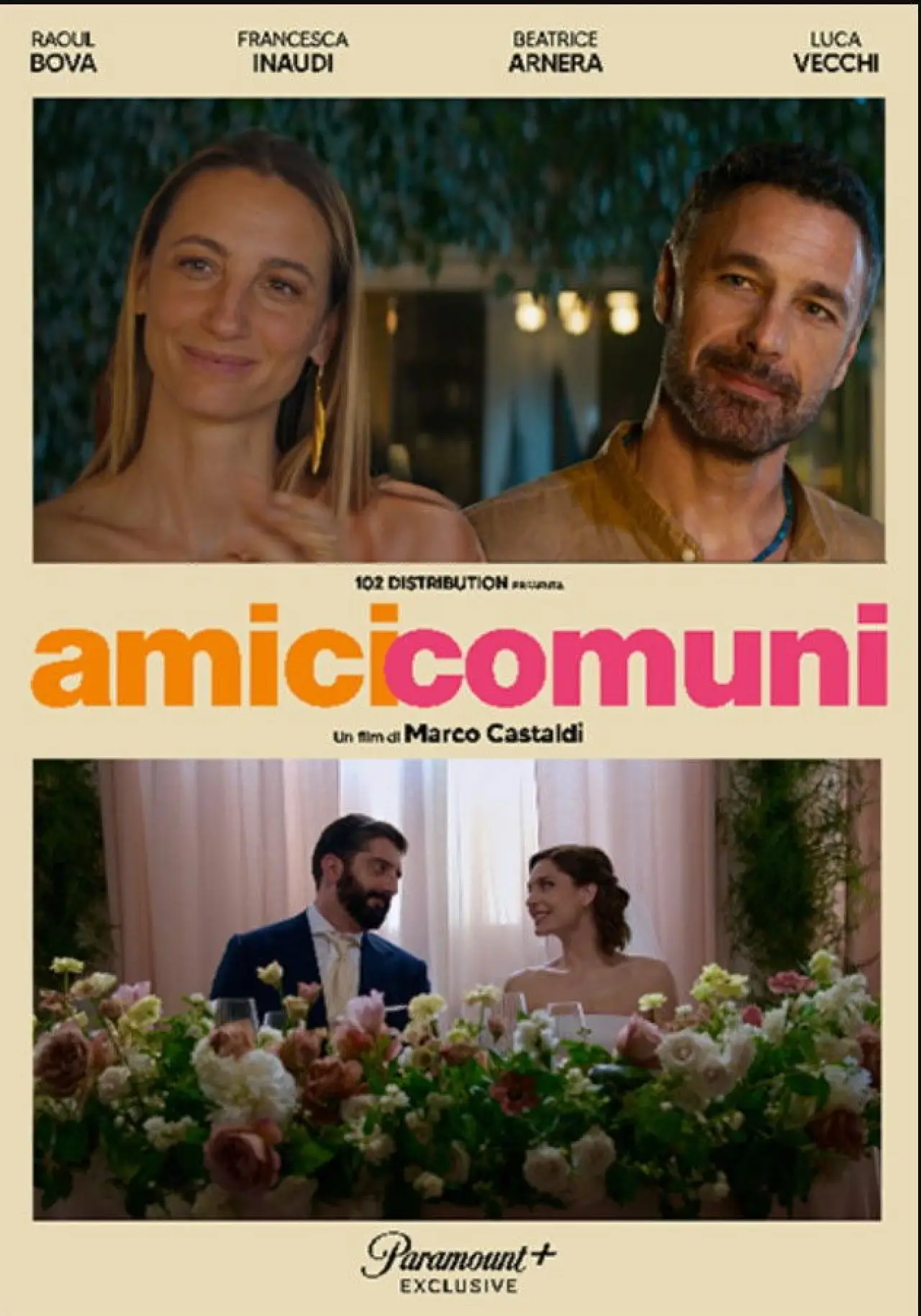 Постер до фільму "Amici comuni"