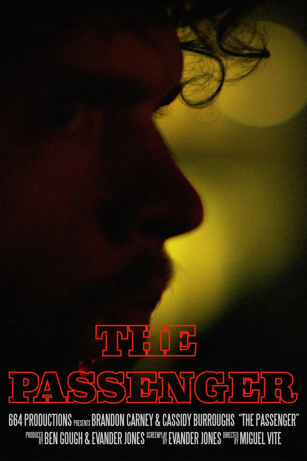 Постер до фільму "The Passenger"