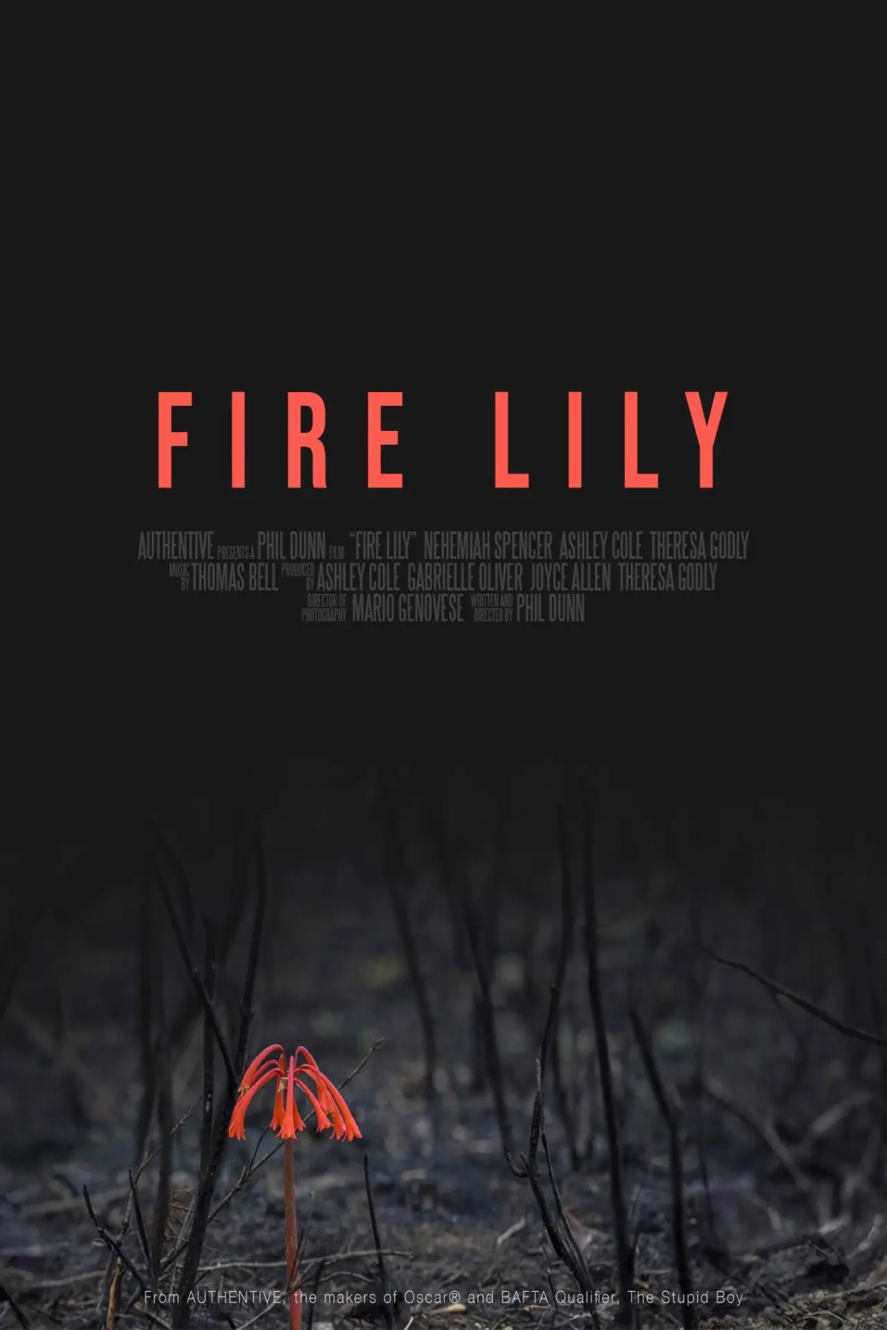 Постер до фільму "Fire Lily"