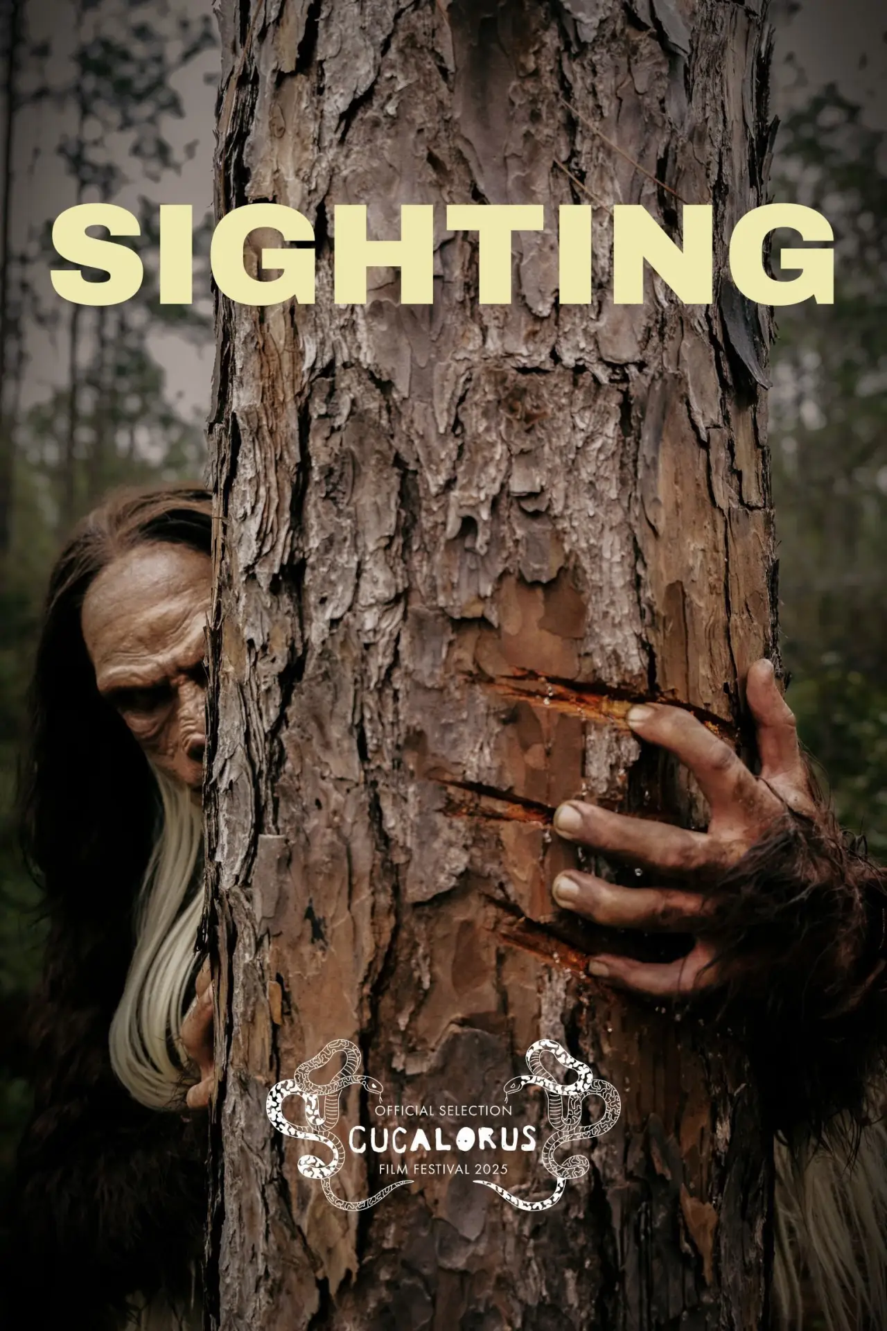 Постер до фільму "Sighting"
