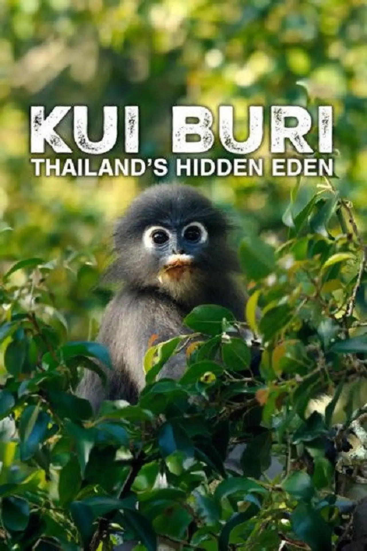 Постер до фільму "Kui Buri: Thailand