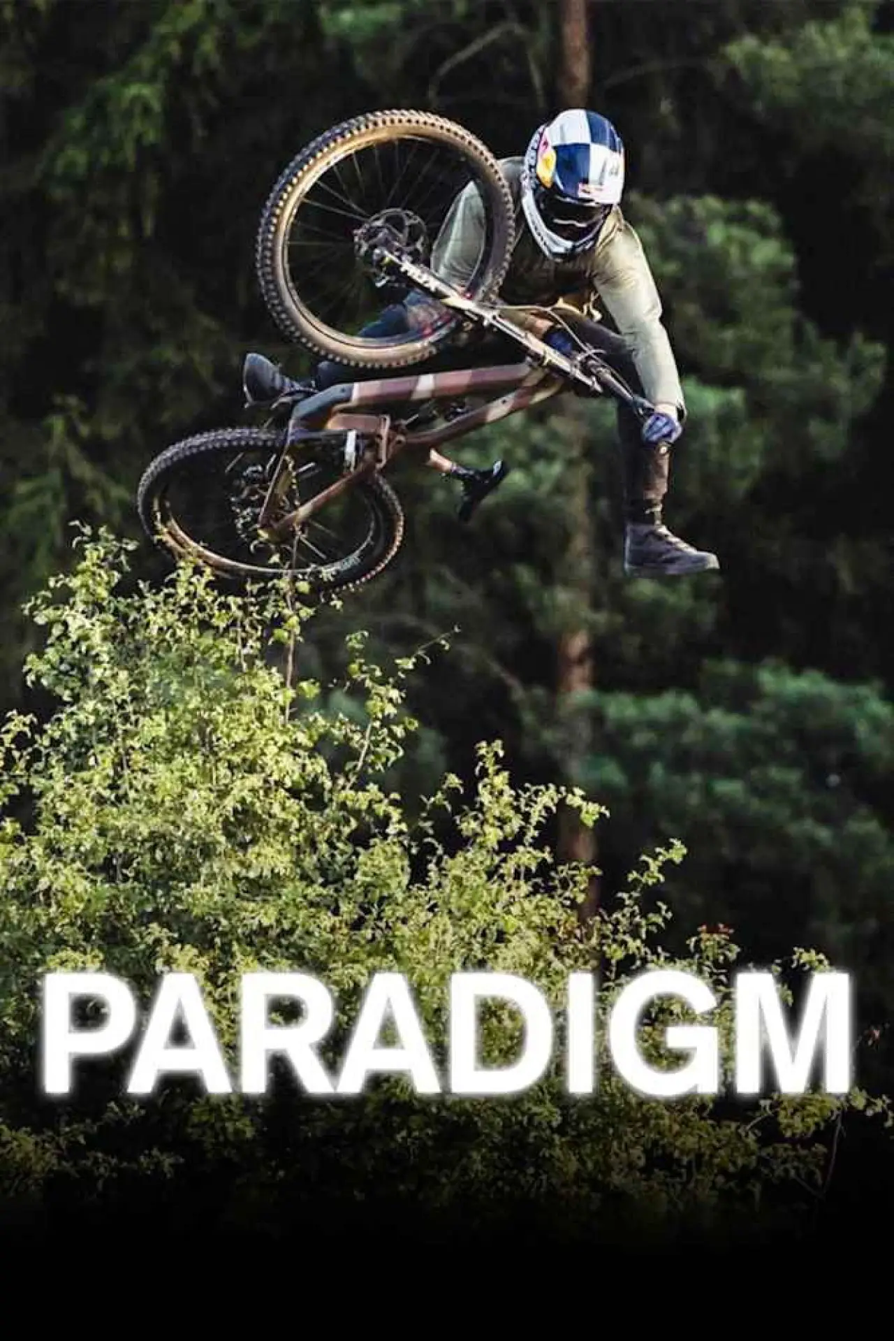 Постер до фільму "Paradigm"